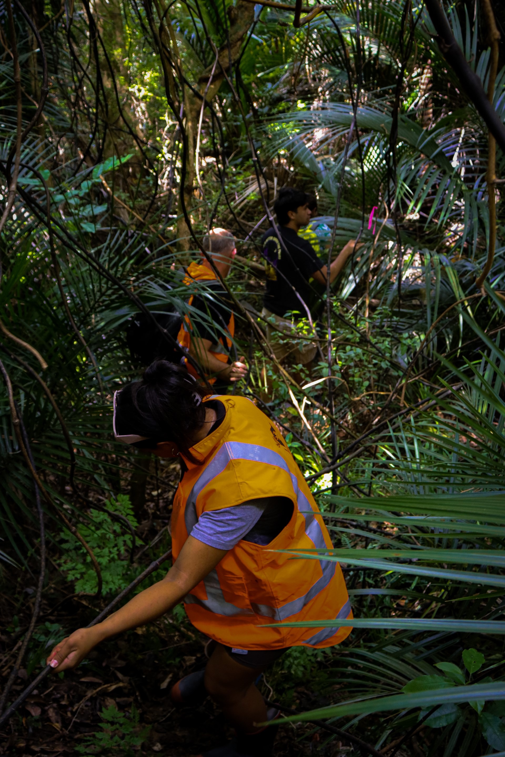 Ngāti Kuri Taiao team member Justice Hetaraka out in the field.