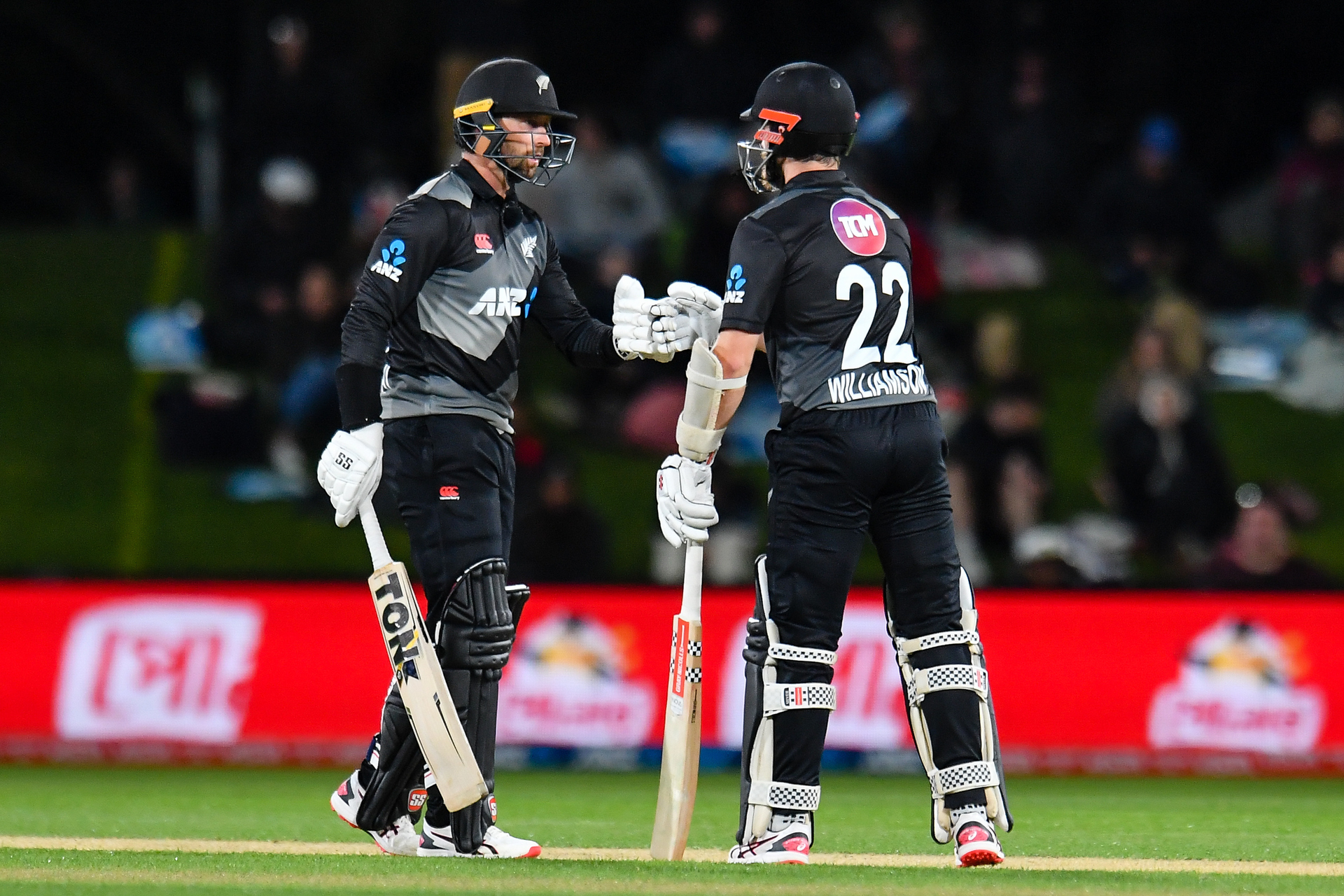 Devon Conway and Kane Williamson are regulars on the T20 circuit. Photo / Photosport