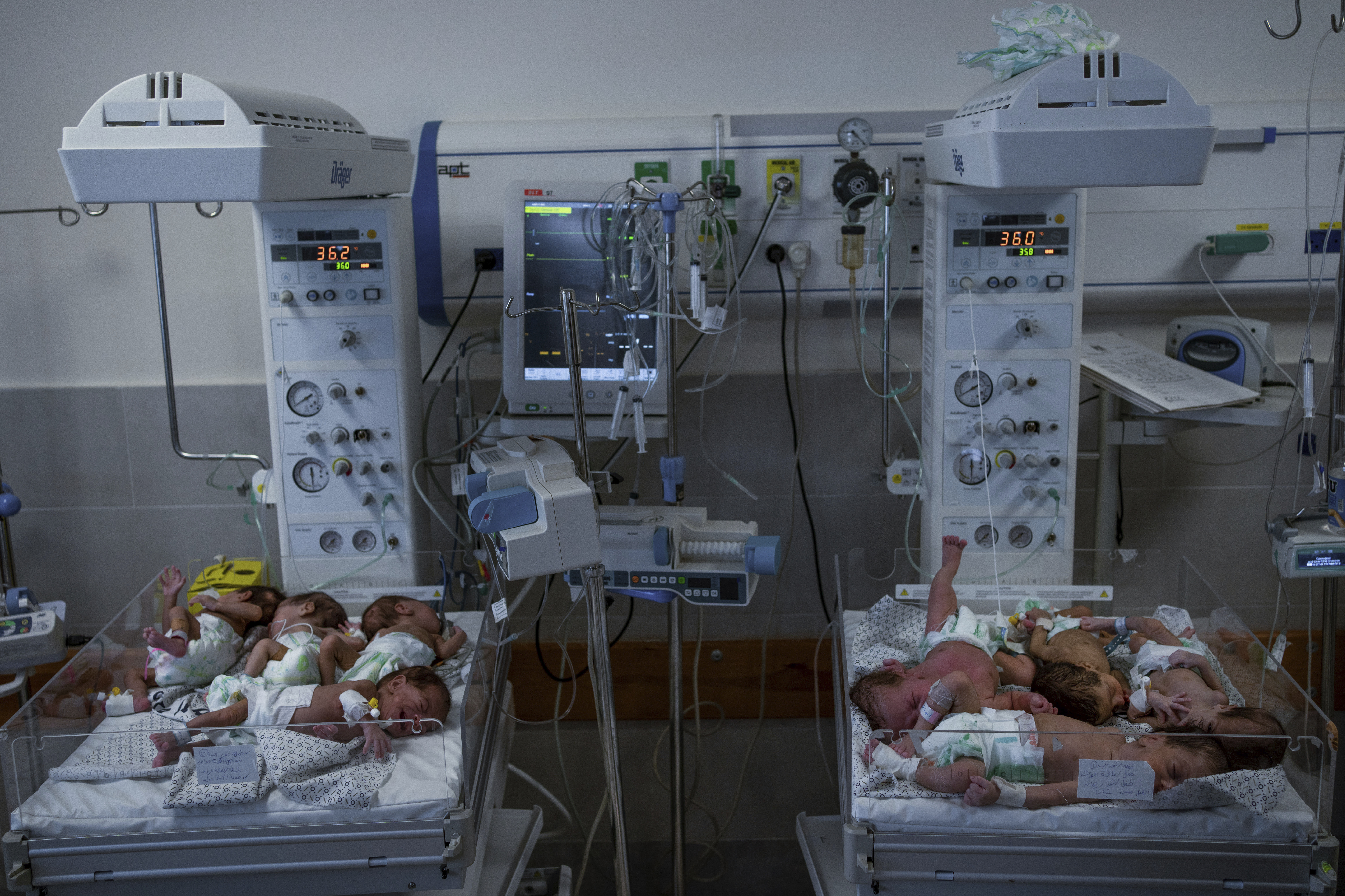 Premature babies are prepared for transport to Egypt after they were evacuated from Shifa Hospital in Gaza City to a hospital in Rafah, Gaza Strip. Photo / AP