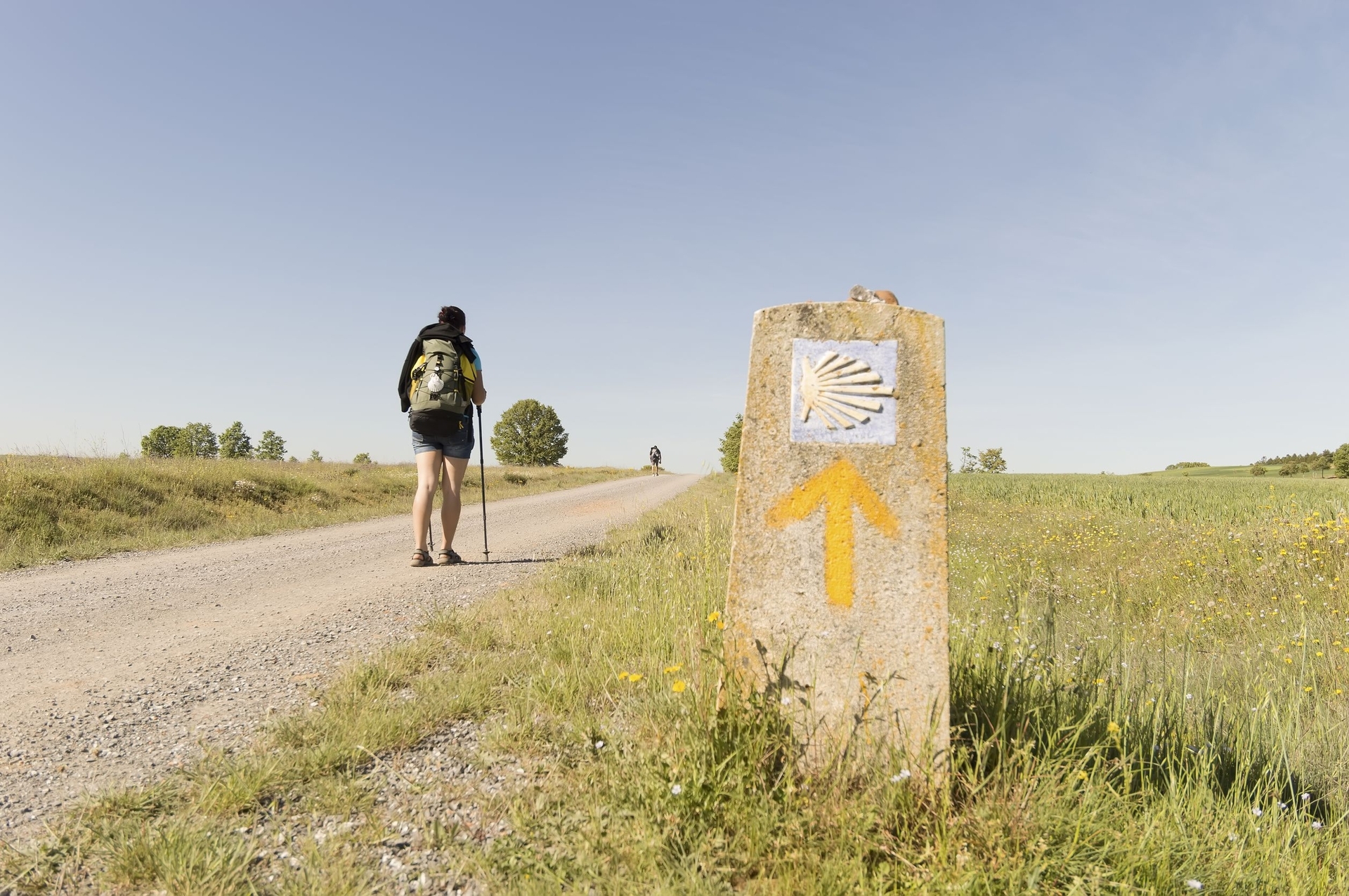 Walk the Camino - News - Irache Wine Fountain