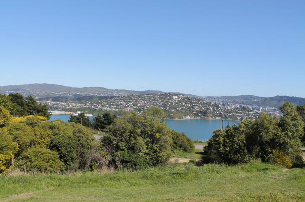 The view looking west at the rear access point to the prison: Evans Bay and Matairangi. Photo / RNZ