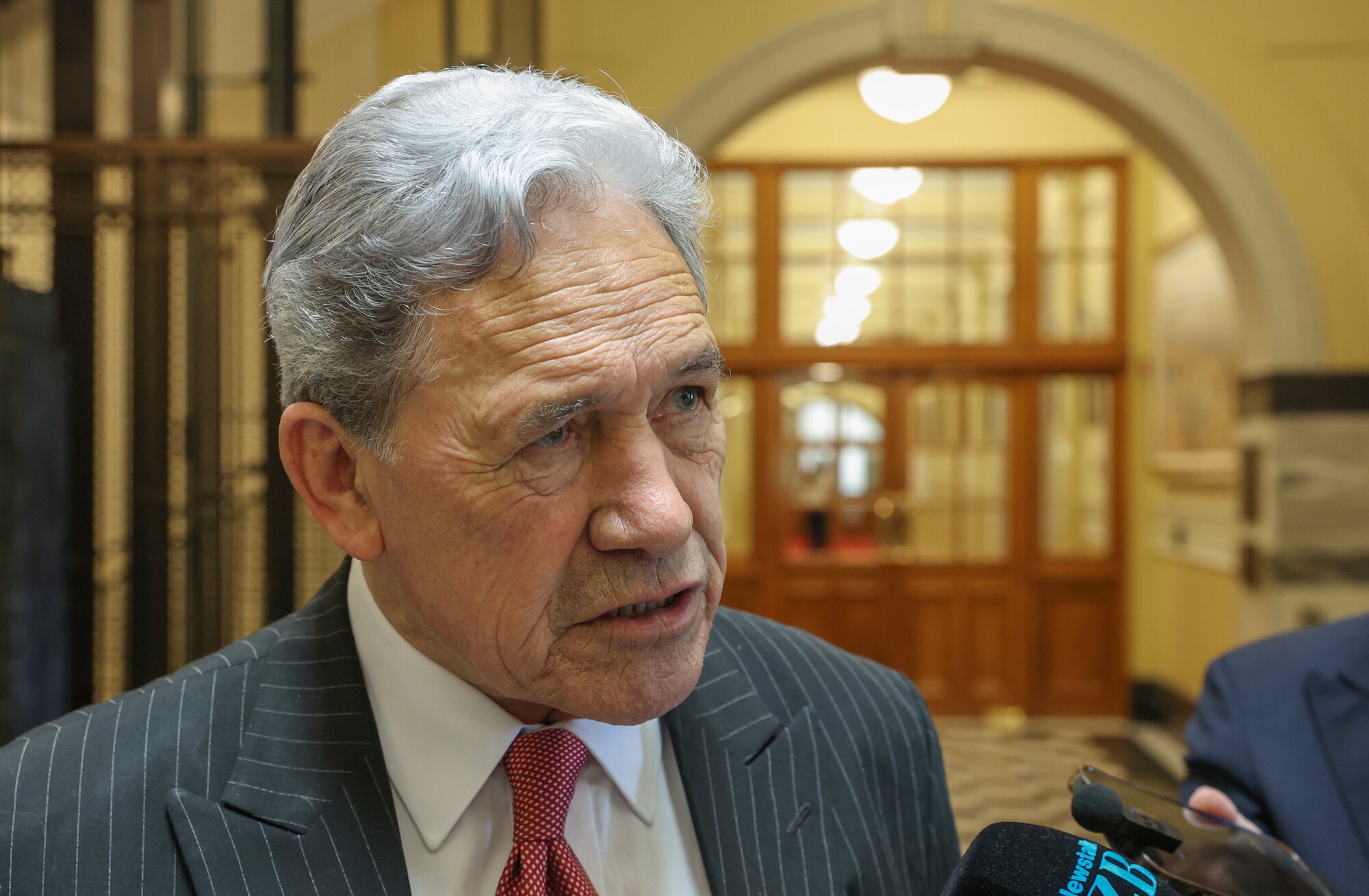 NZ First leader Winston Peters says tens of thousands of Indians could be coming to New Zealand under this deal. Photo / Mark Mitchell