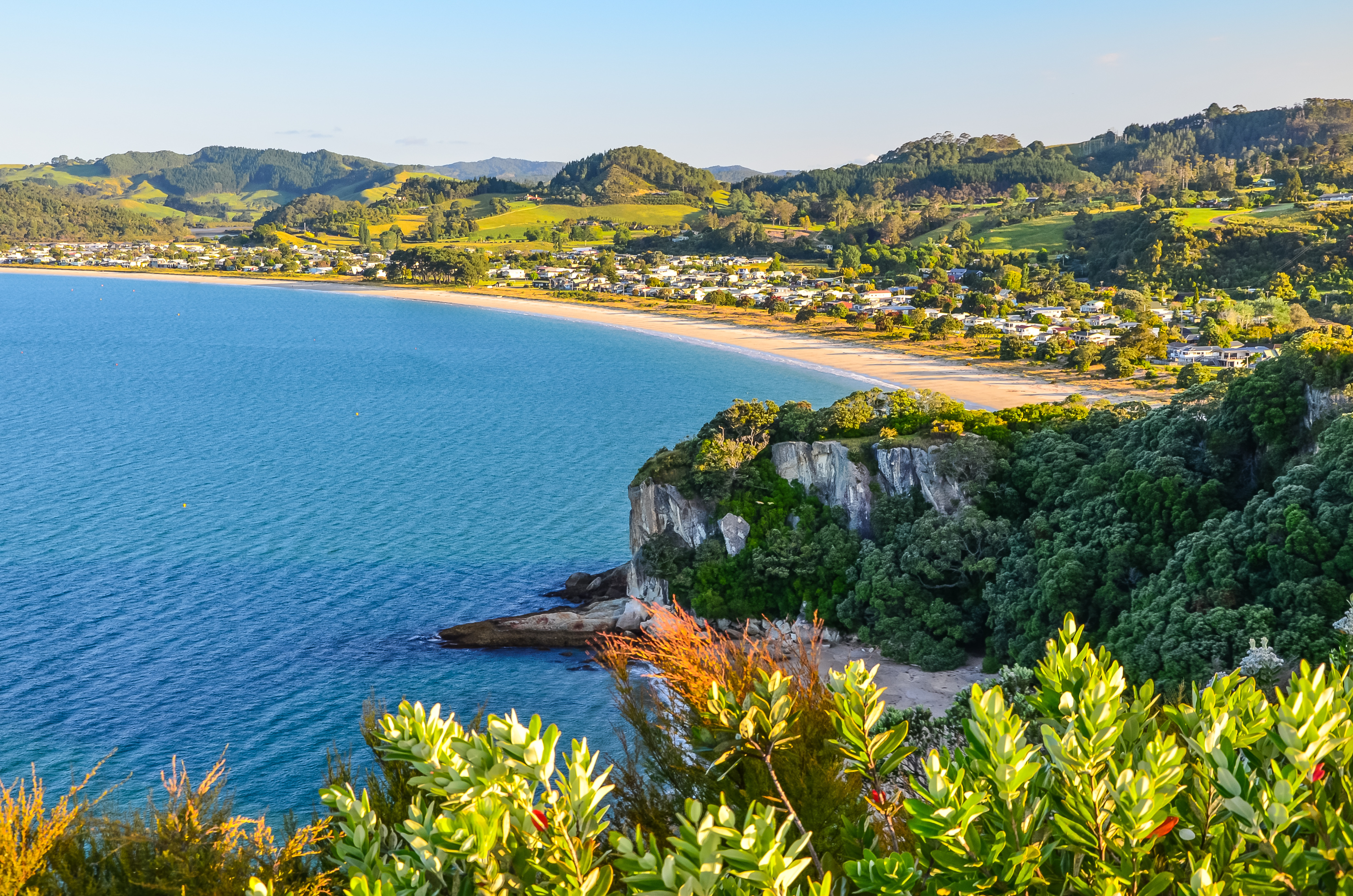 Sunset view of Cooks Beach from Shakespeare Cliff Lookout at Coromandel Peninsula, North Island, New Zealand. Photo / 123rf