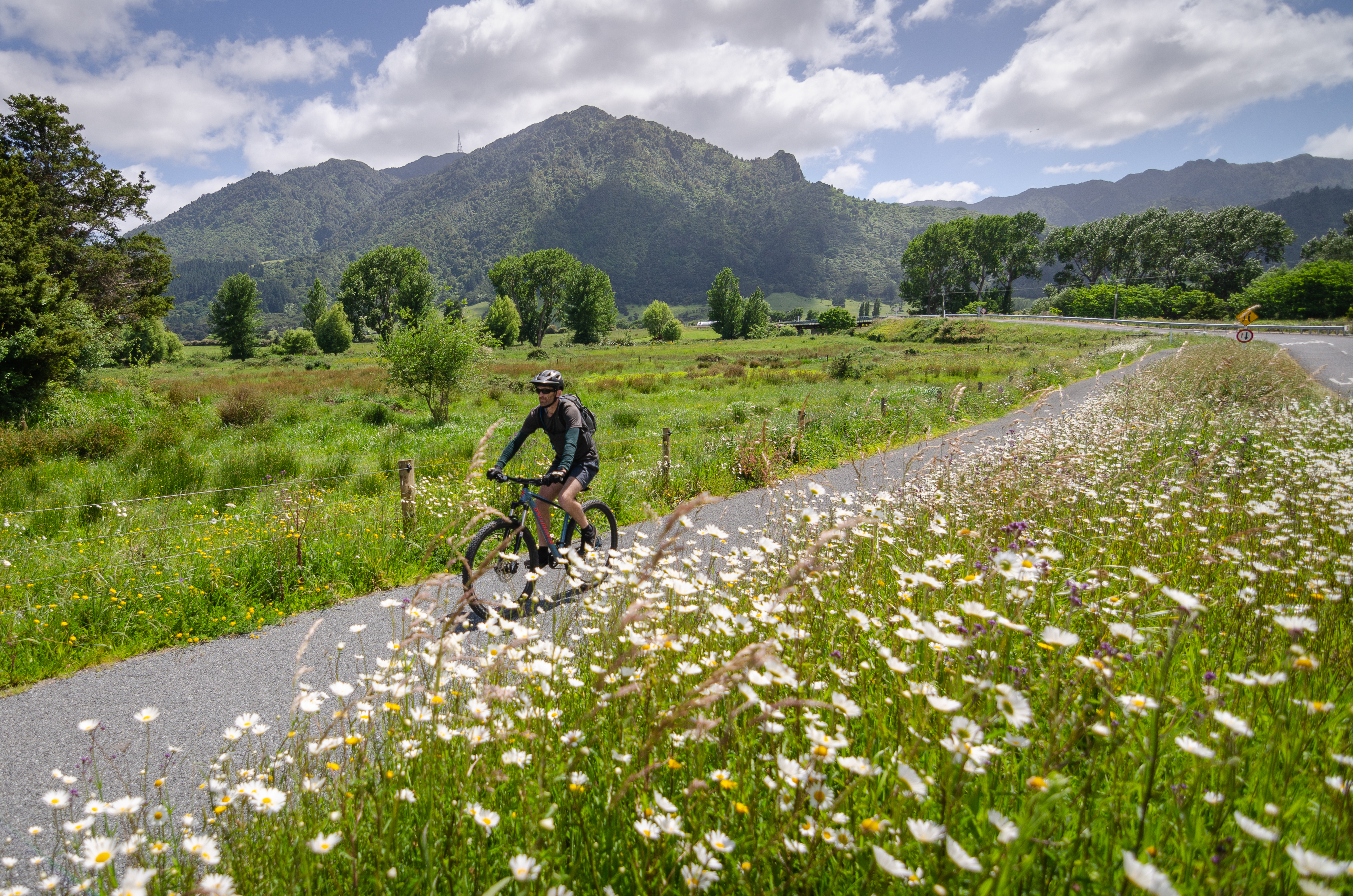Traverse past scenic horse studs on the Hauraki Rail Trail. Photo / Hamilton & Waikato Tourism