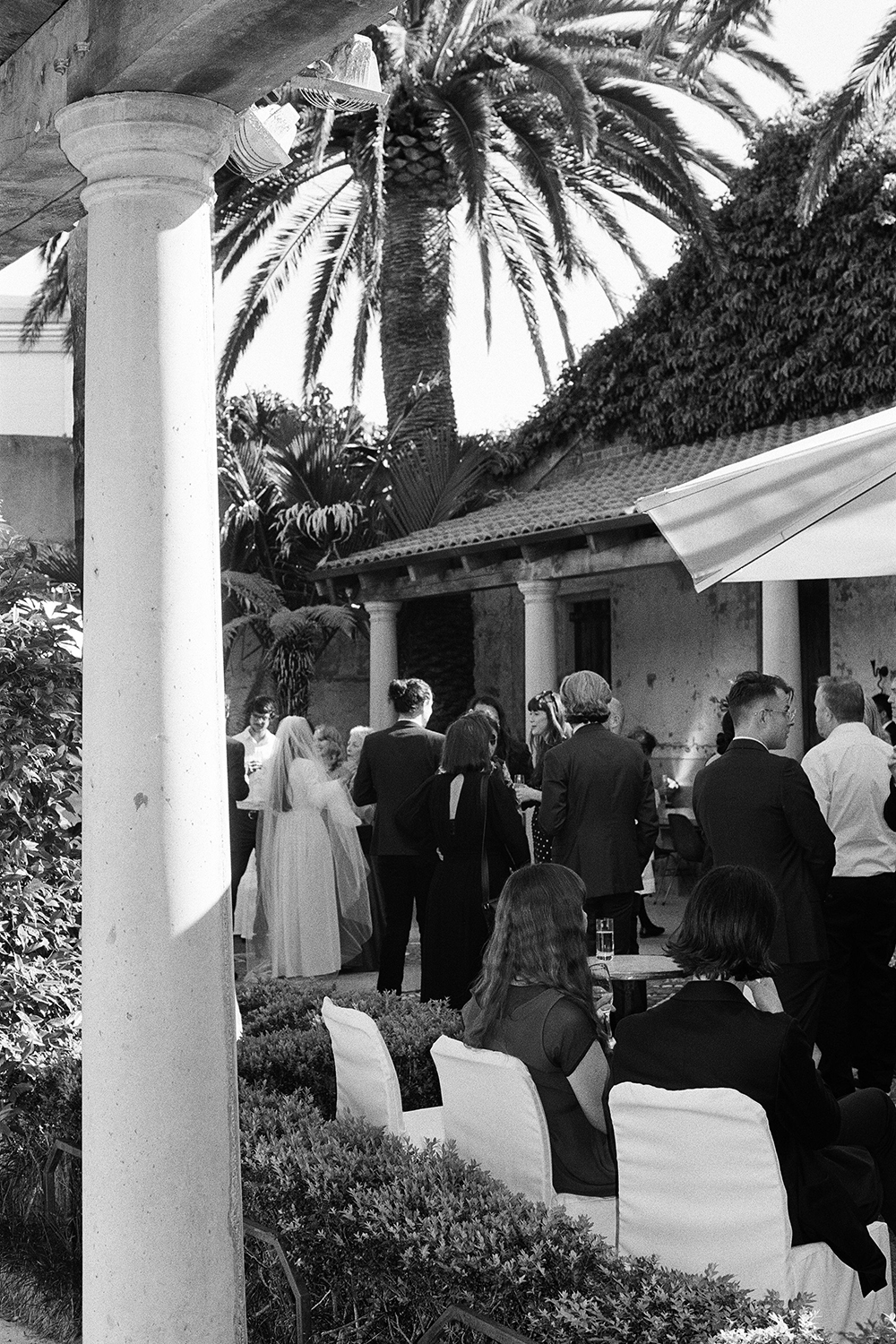 Phoenix palms rise above the outdoor courtyard. Photo / Ophelia Mikkelson Jones