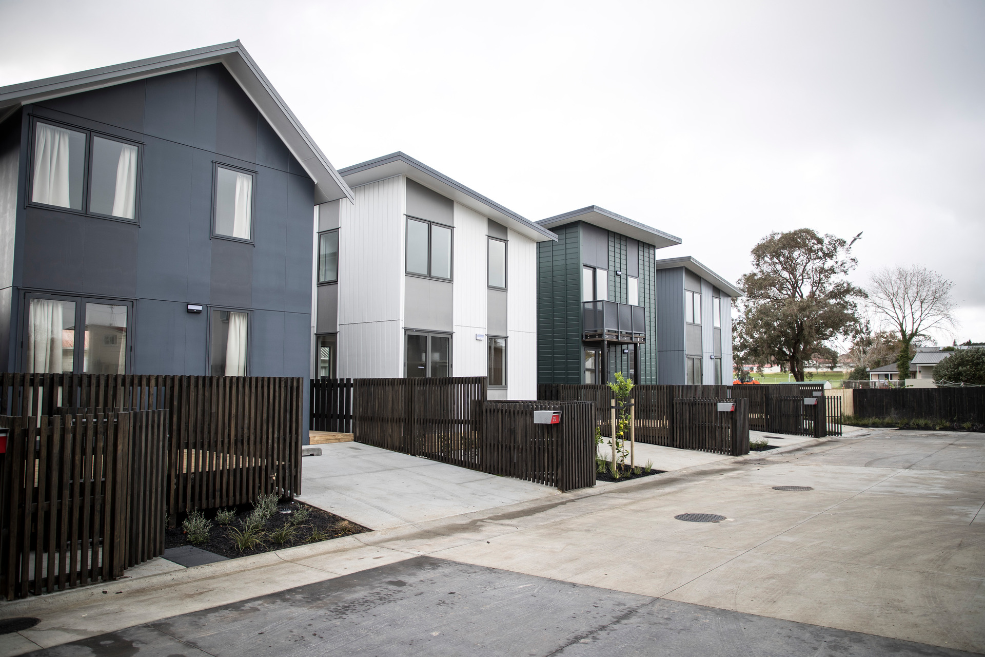 Intensive housing developments, like this one in Northcote, will force zoning schemes for 103 of Auckland's 140 state schools that still have unrestricted enrolment. Photo / Michael Craig
