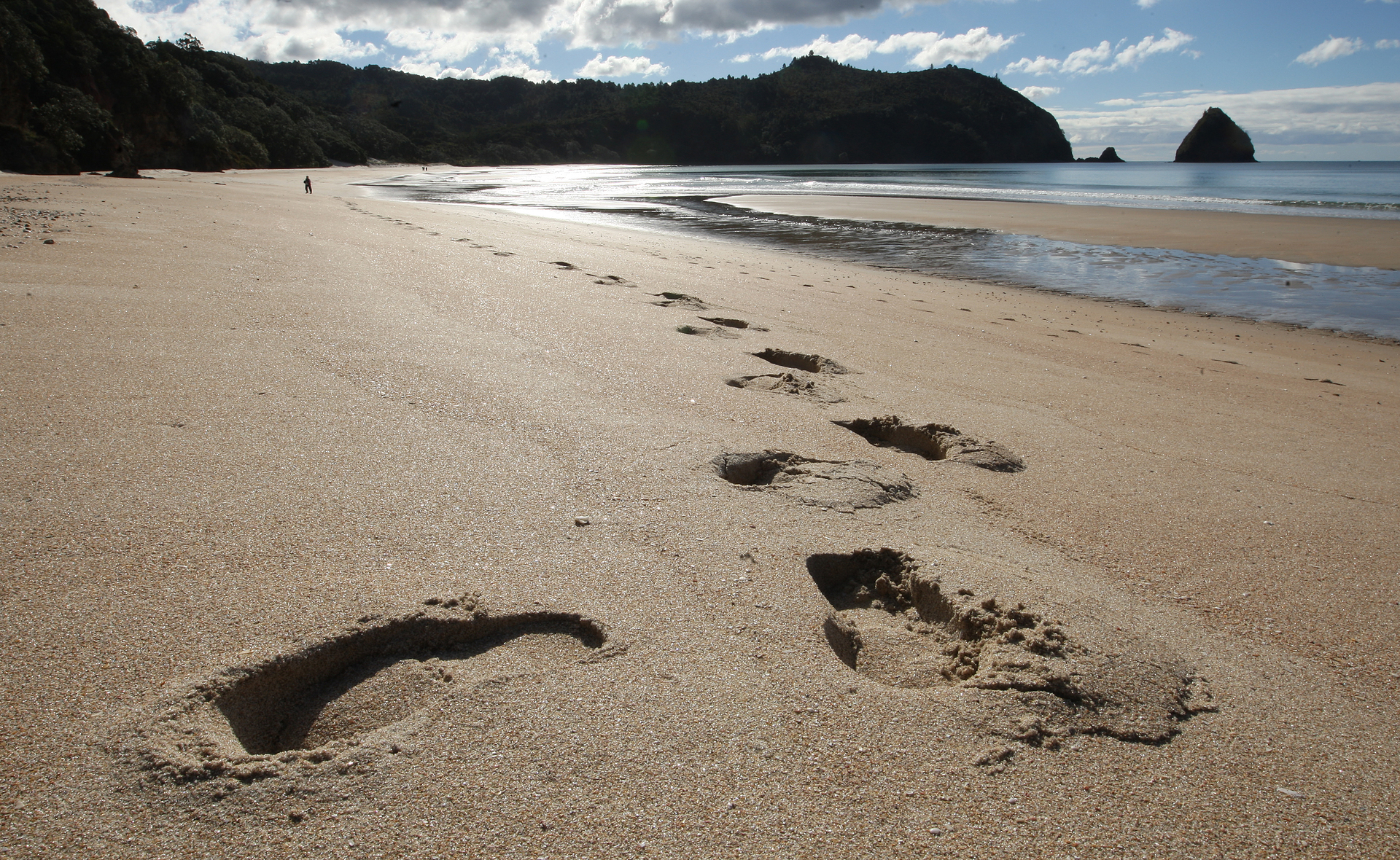 Changes to the foreshore and seabed law are due to be introduced to Parliament next month. Photo / Alan Gibson