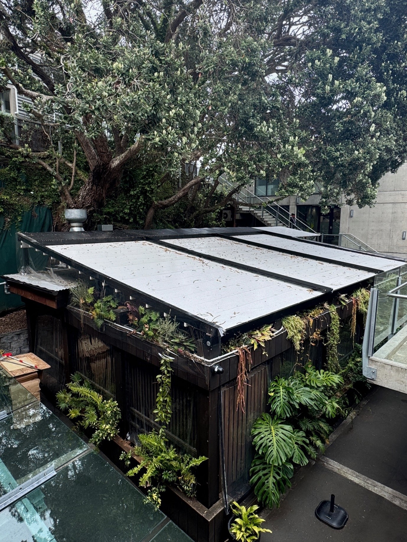 Milenta, the restaurant, is in a courtyard at Victoria Park Markets. Its owners want a retrospective resource consent.