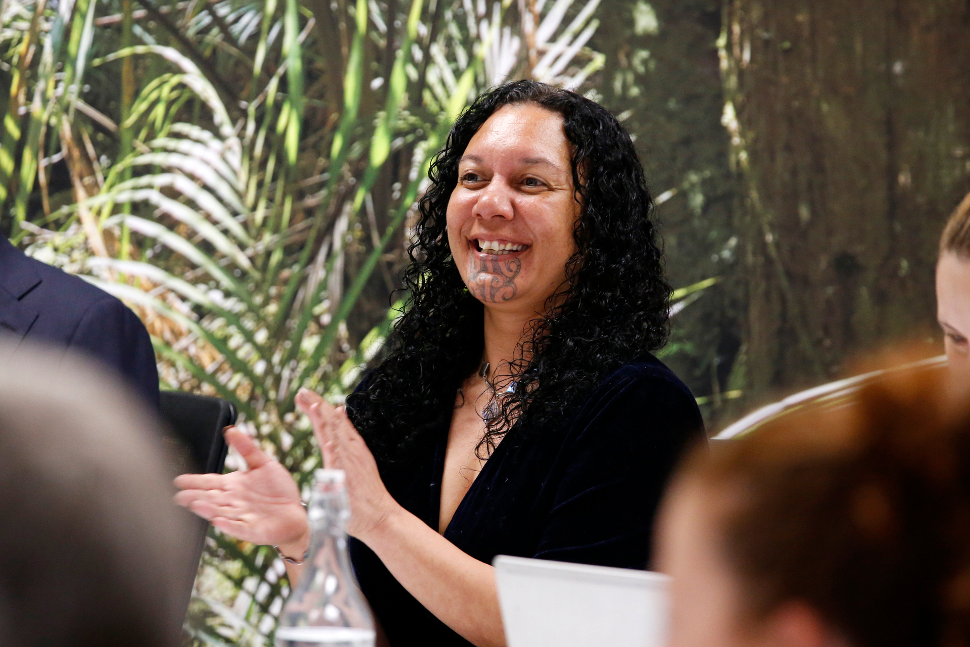 New Zealand's first wahine Māori regional council chair - Northland Regional Council's Tui Shortland Photo / Michael Cunningham 
