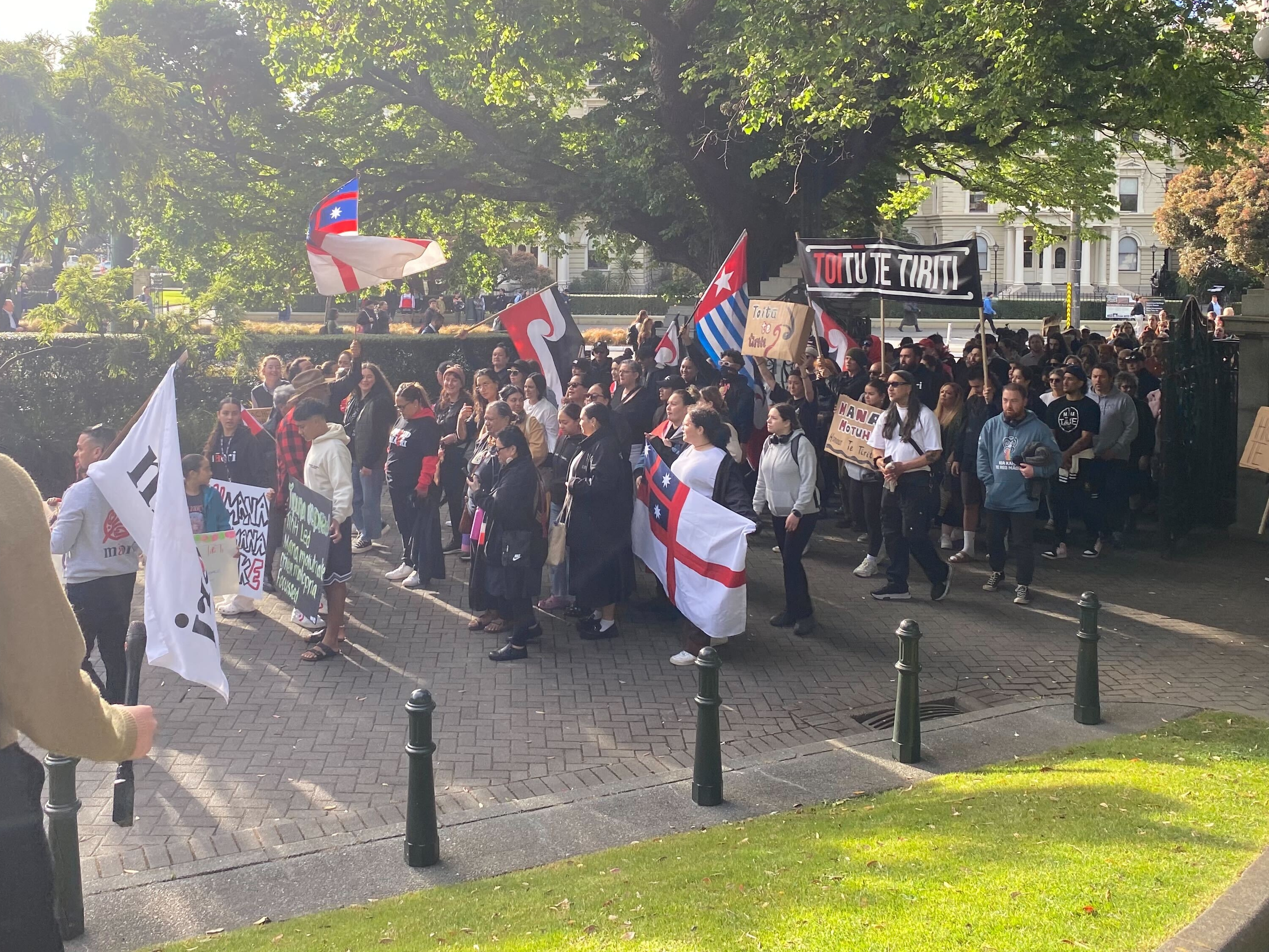 Protesters led by Te Pāti Māori's Rawiri Waititi enter Parliament grounds in Wellington. Photo / Ethan Manera
