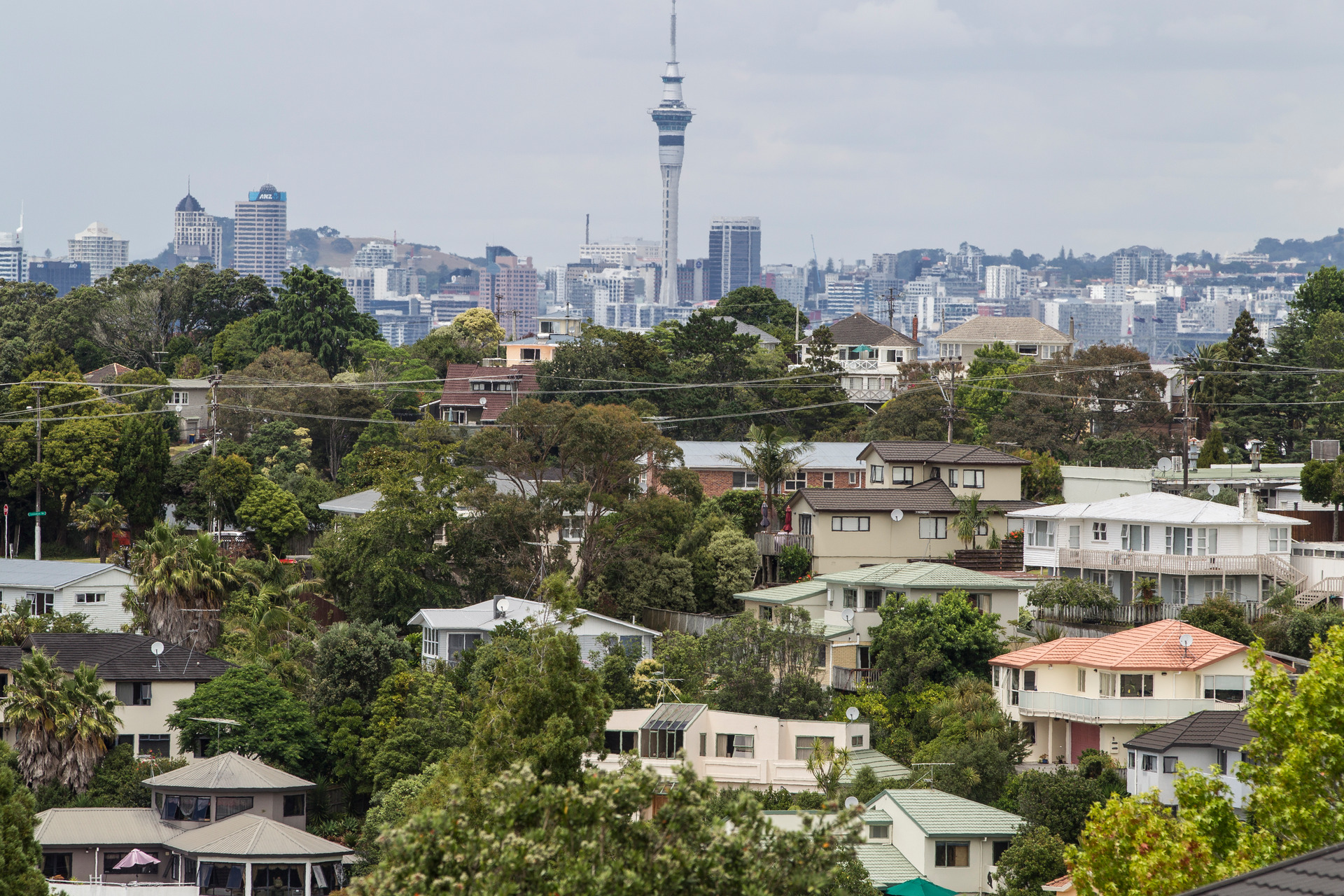 Auckland Council is yet to resolve all ratepayer disputes arising from his 2017 valuations. Photo / Michael Craig 