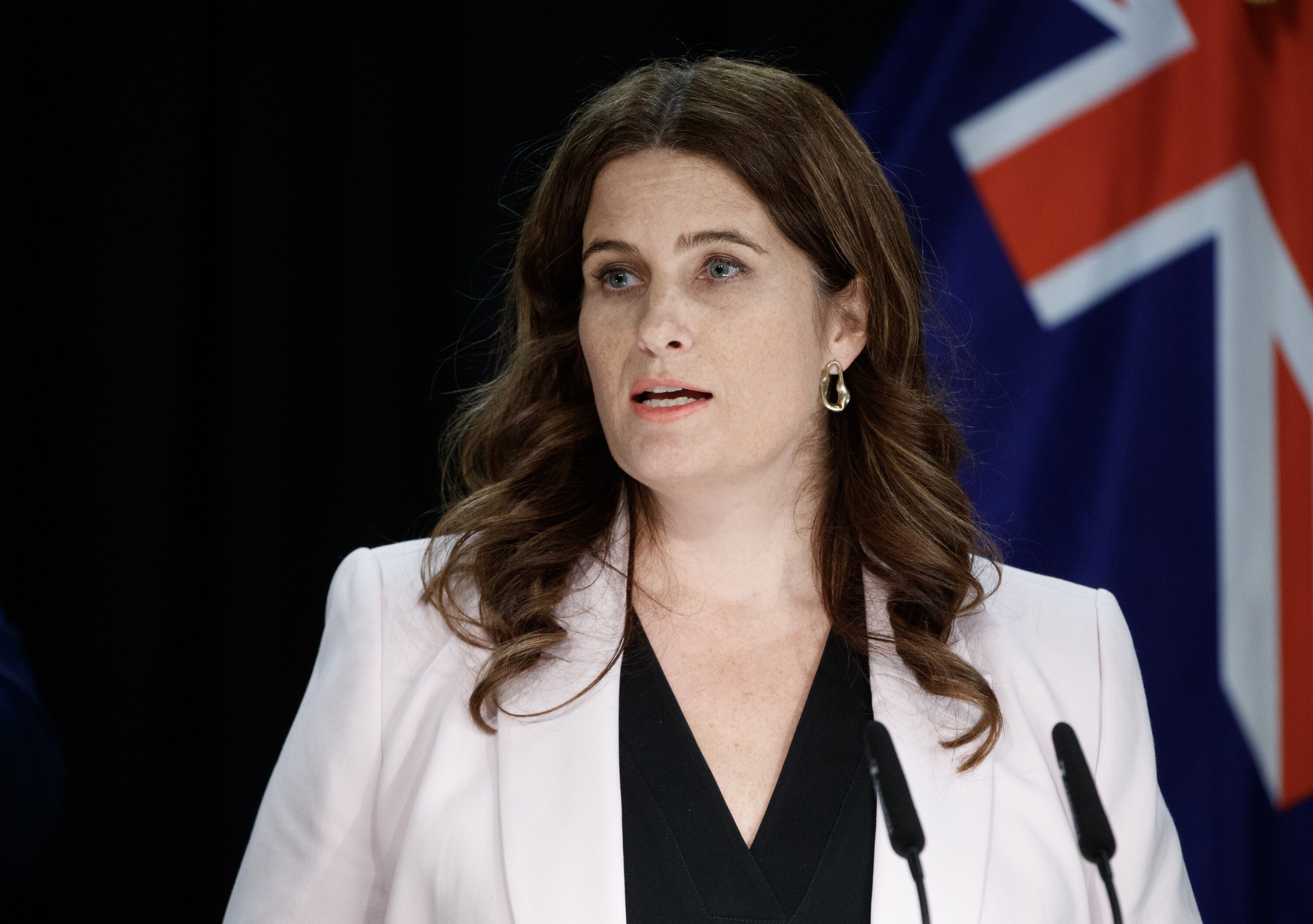 Finance Minister Nicola Willis. Photo / Mark Mitchell