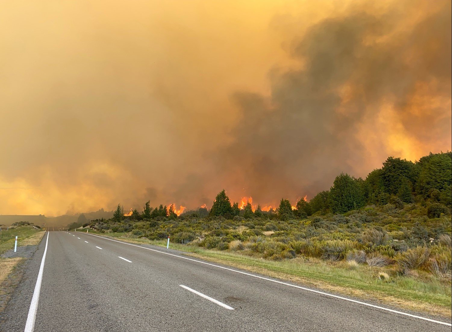 The Bridge Hill fire began on Thursday. Photo: Supplied / Fire and Emergency