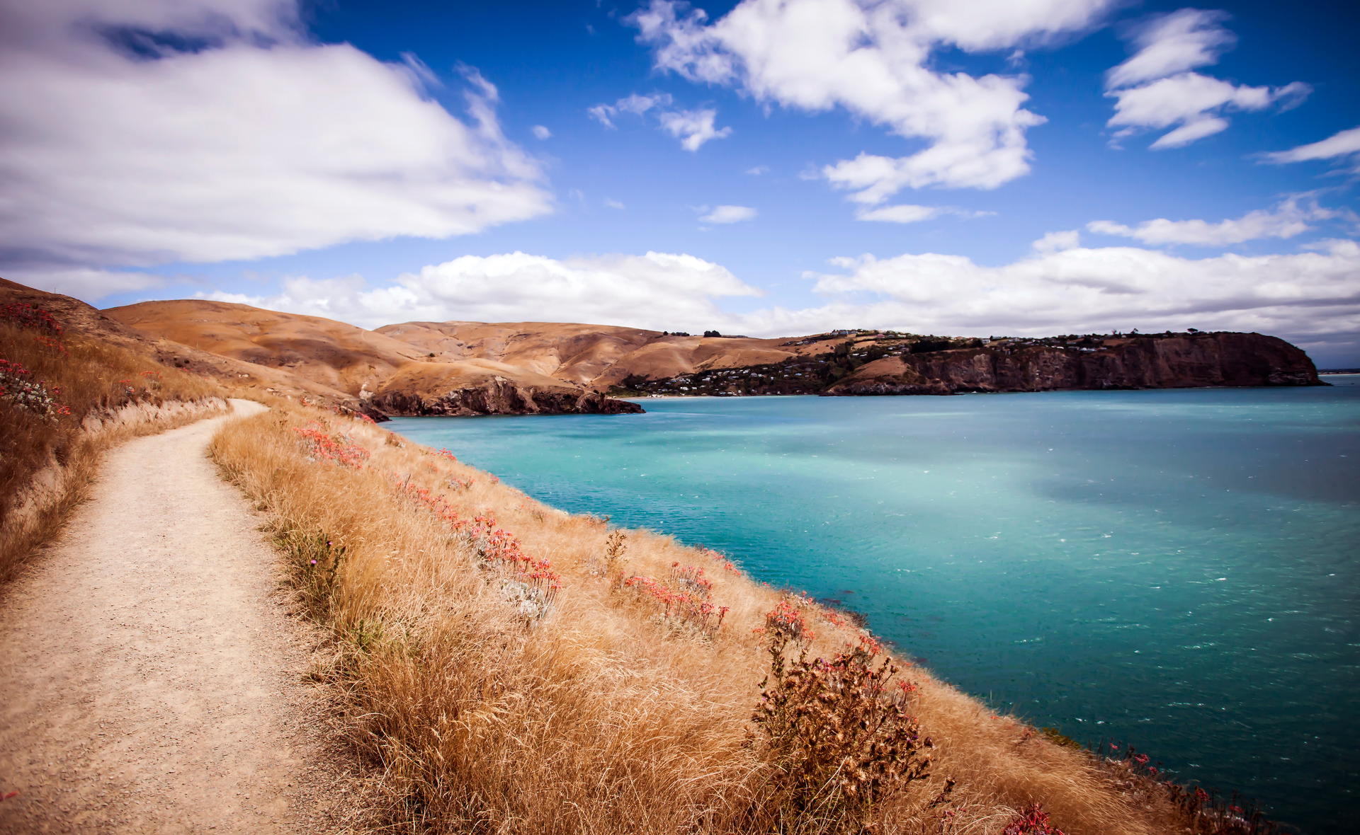 Godley Head Loop Track. Photo / Crater Rim Walks, Supplied