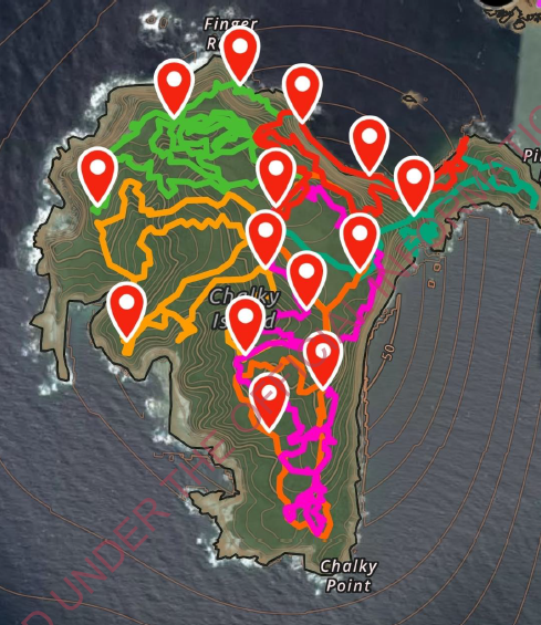 The red markers indicate the places where a DoC worker, with a stoat-trained dog, found stoat poo and scent on Chalky Island. Photo / DoC