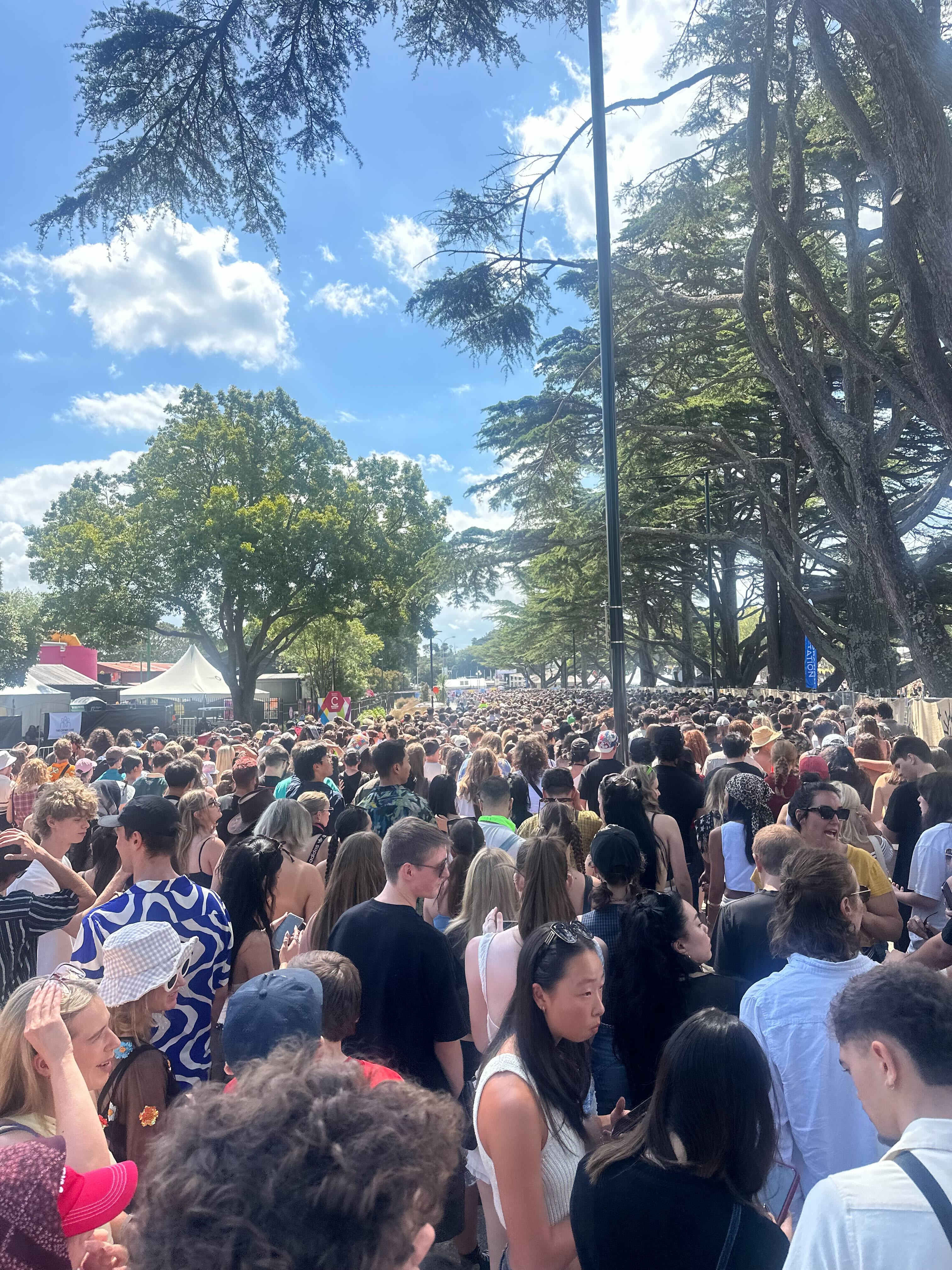 Concert-goers at Auckland’s Laneway Festival face long queues to get into the venue at Western Springs due to a ticket glitch. Photo / Rachel Maher