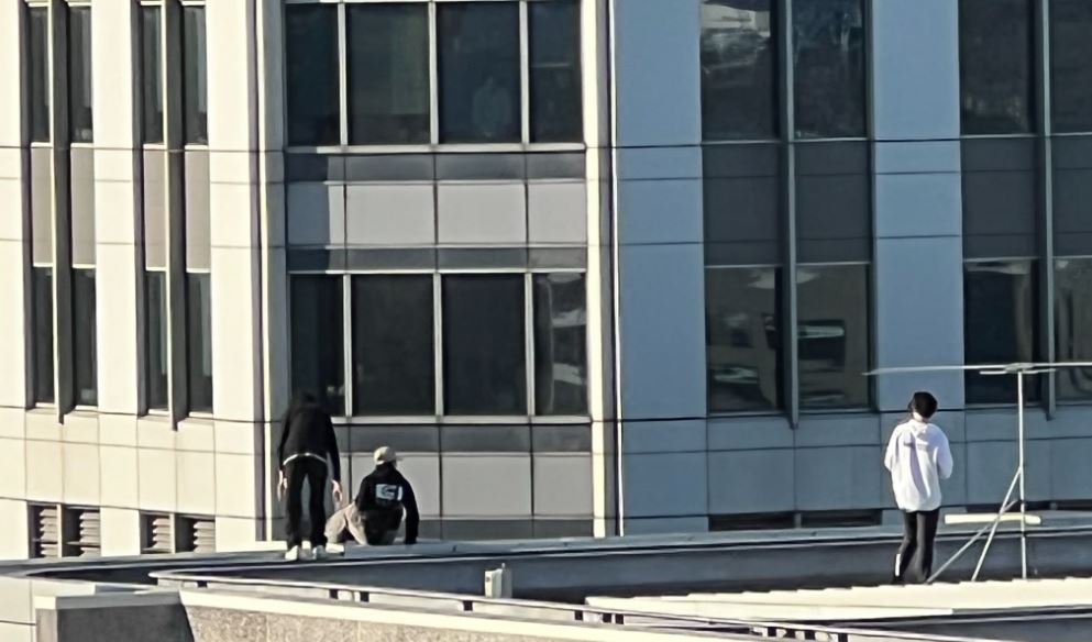 The trio were seen running, walking, sitting and dangling their legs over the ledge. Photo / Supplied