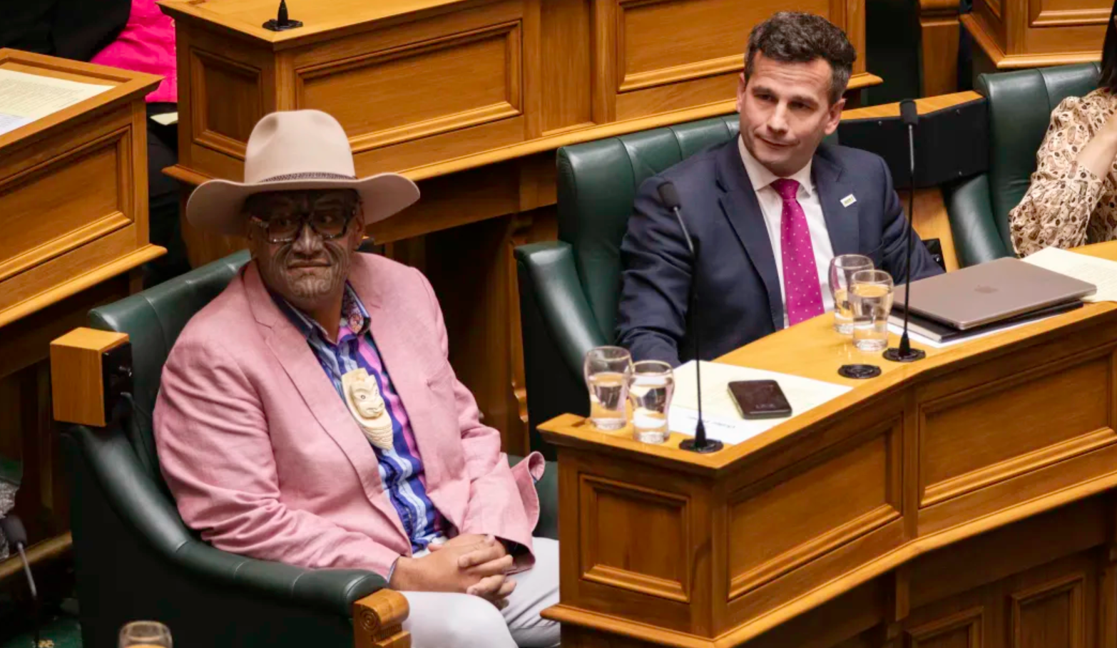 Both Te Pāti Māori and Act have had big gains. Photo / RNZ, Angus Dreaver