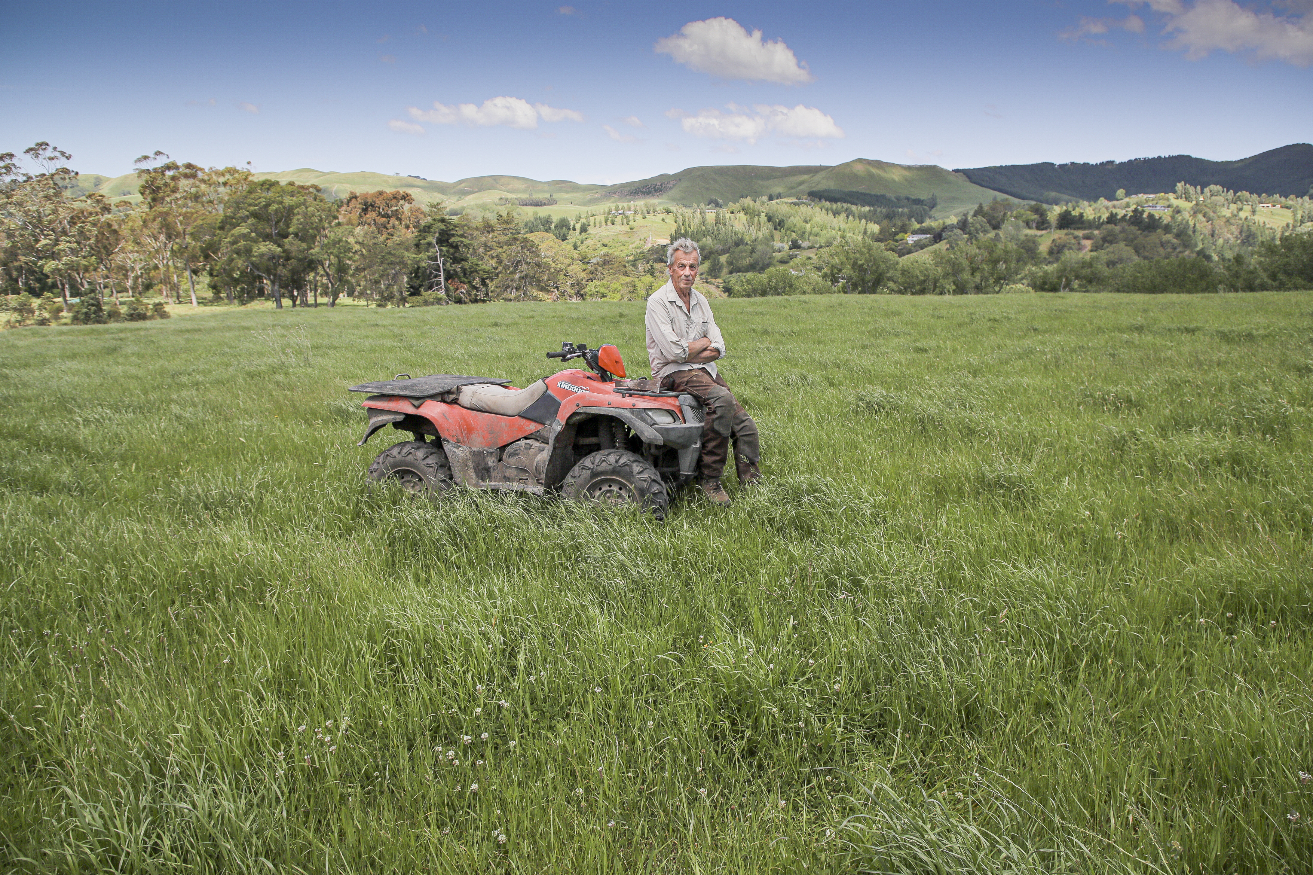 Havelock North farmer Bruno Chambers in a paddock of knee-deep grass after the heavy rains - it's the most he has seen at this time of year in his farming career. Photo / Warren Buckland