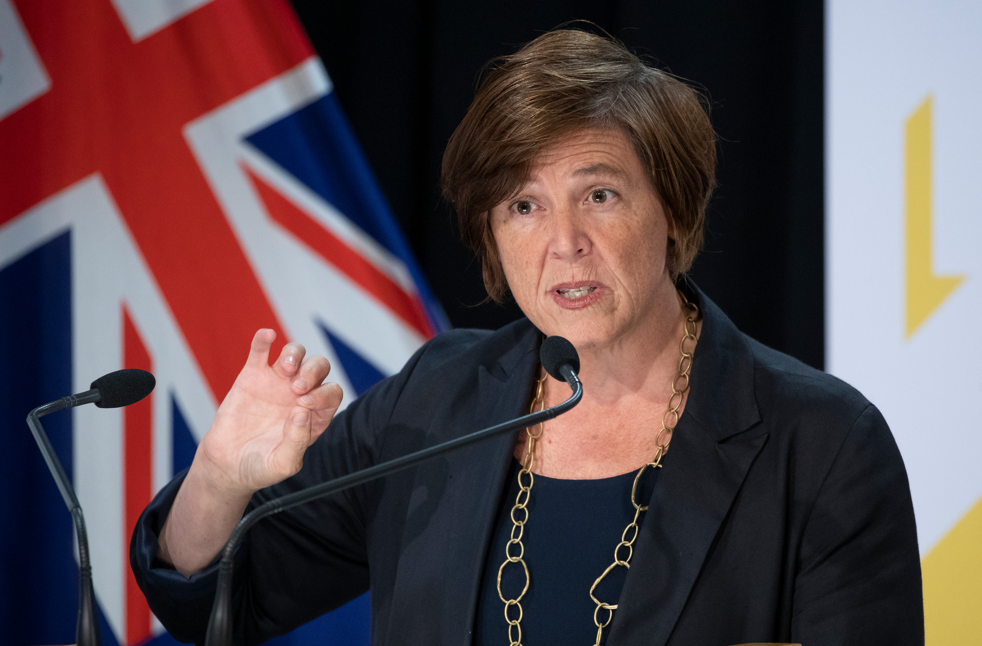 Justice Under-Secretary Jan Logie says the proposed bill aligns New Zealand law with jurisdictions overseas including the UK, Canada and parts of Australia. Photo / Pool