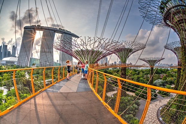 Singapore's Gardens by the Bay nature park.
