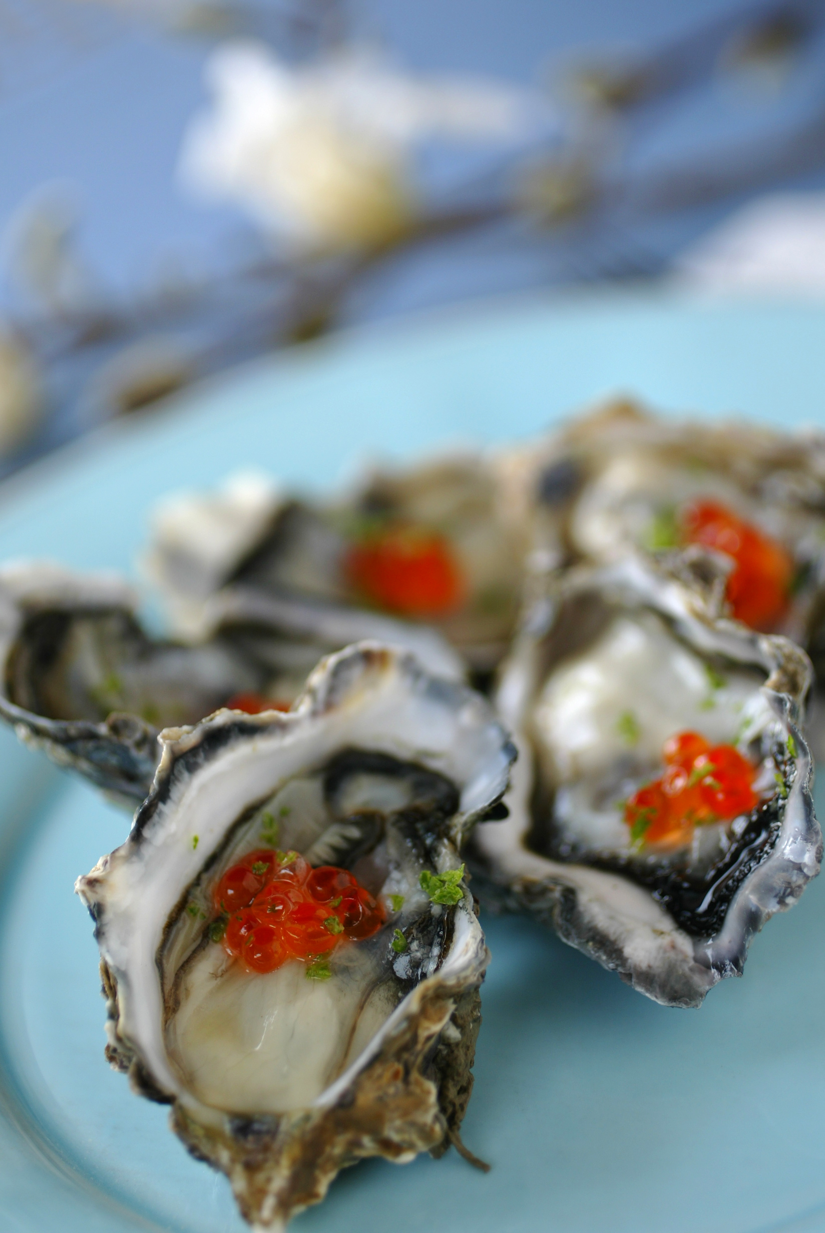 Splurge on champagne vinegar, available at speciality stores, for this decadent oyster dish. Photo / Babiche Martens