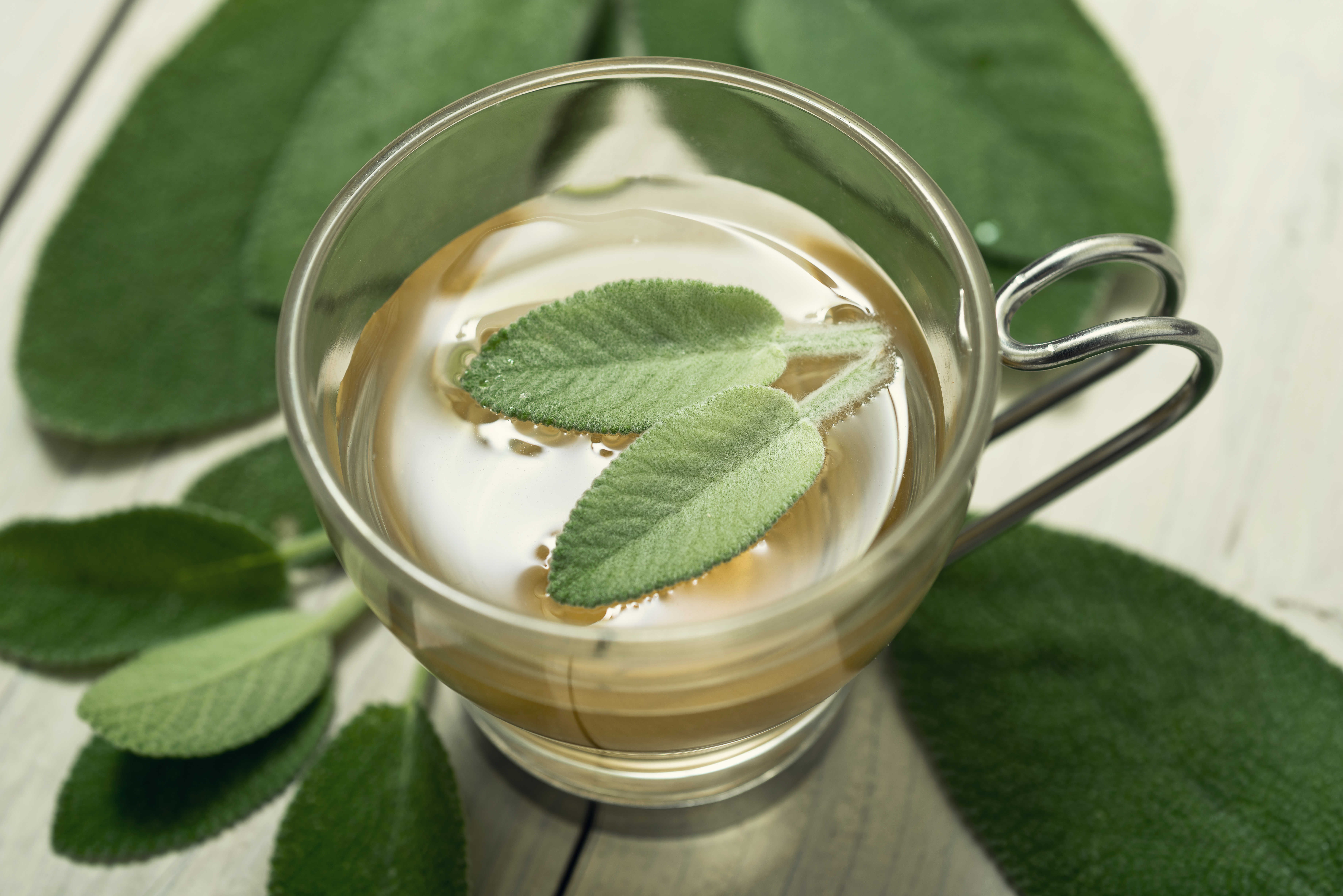 Sage makes for a comforting savoury tisane. Photo / Getty Images
