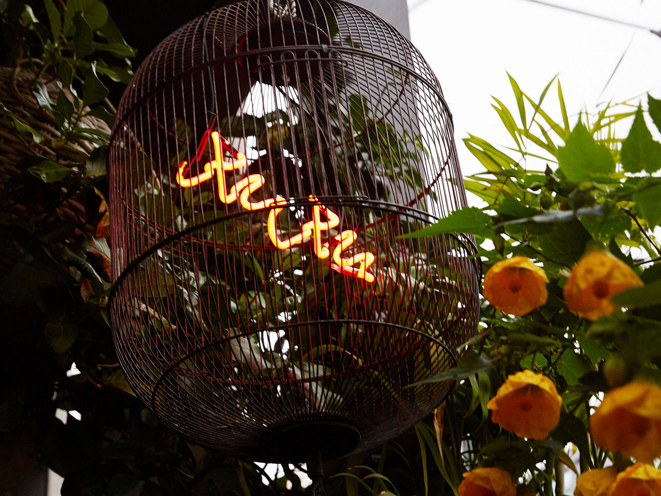 The outdoor courtyard at Xuxu. Photo / Rebecca Zephyr Thomas