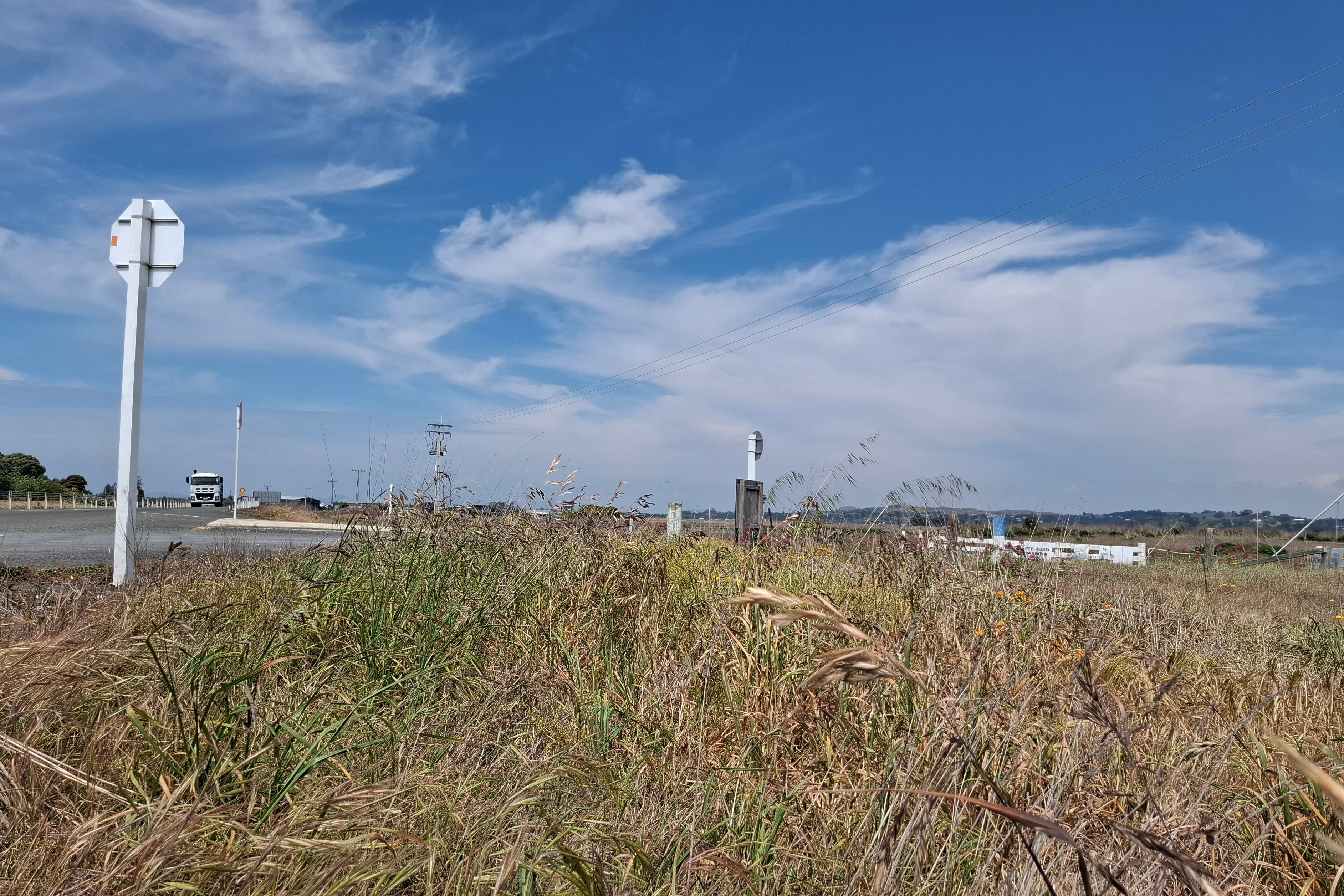 There’s plenty of grass, but it’s showing signs of summer browning-off, just north of Hawke’s Bay Airport, where no rain has been recorded in the first week of November, after last month’s rainfall was about a fifth of the October average. Photo / Doug Laing