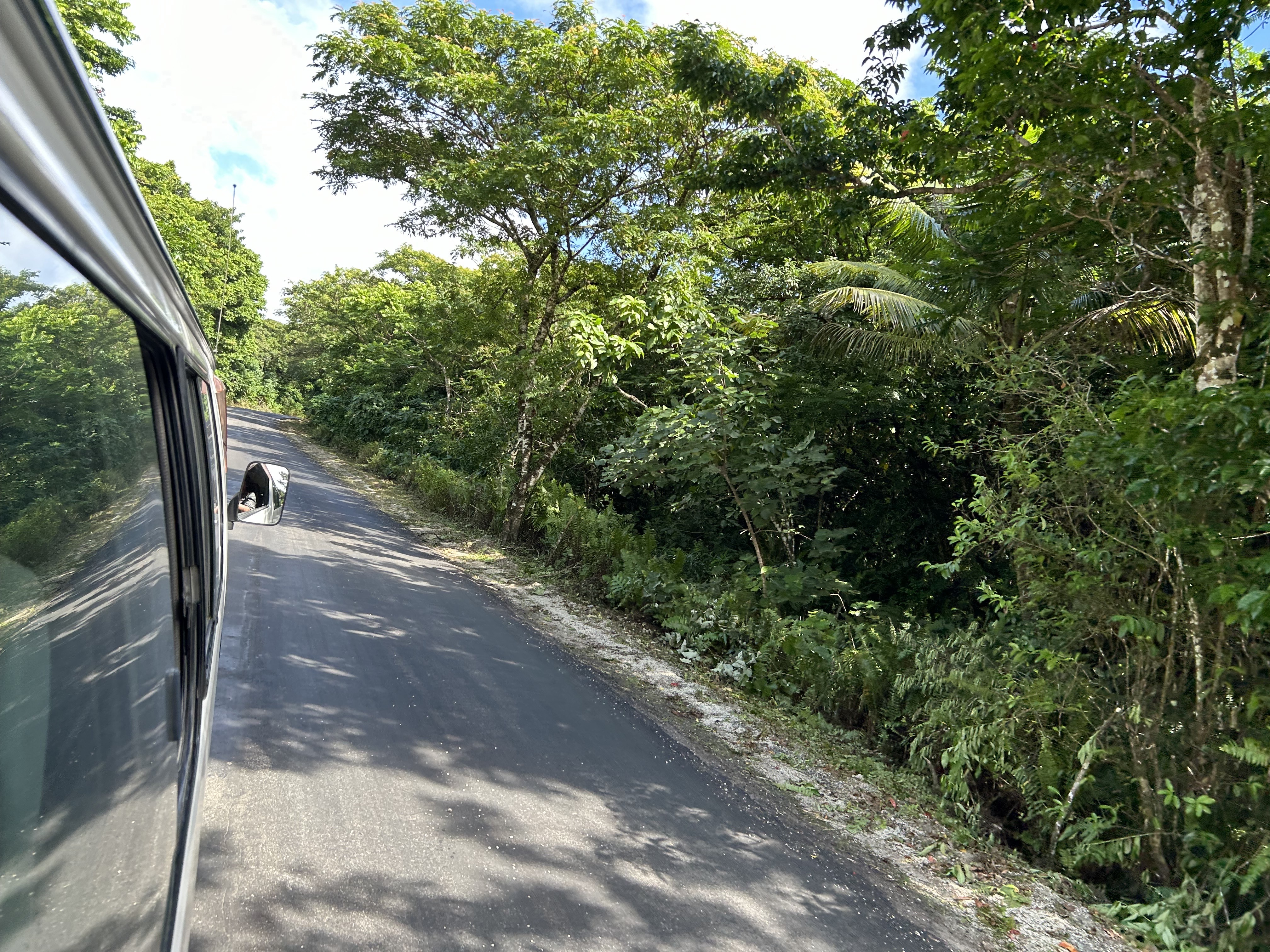 There are only a few roads cut through the dense vegetation and forest on Niue. Photo / Adam Pearse