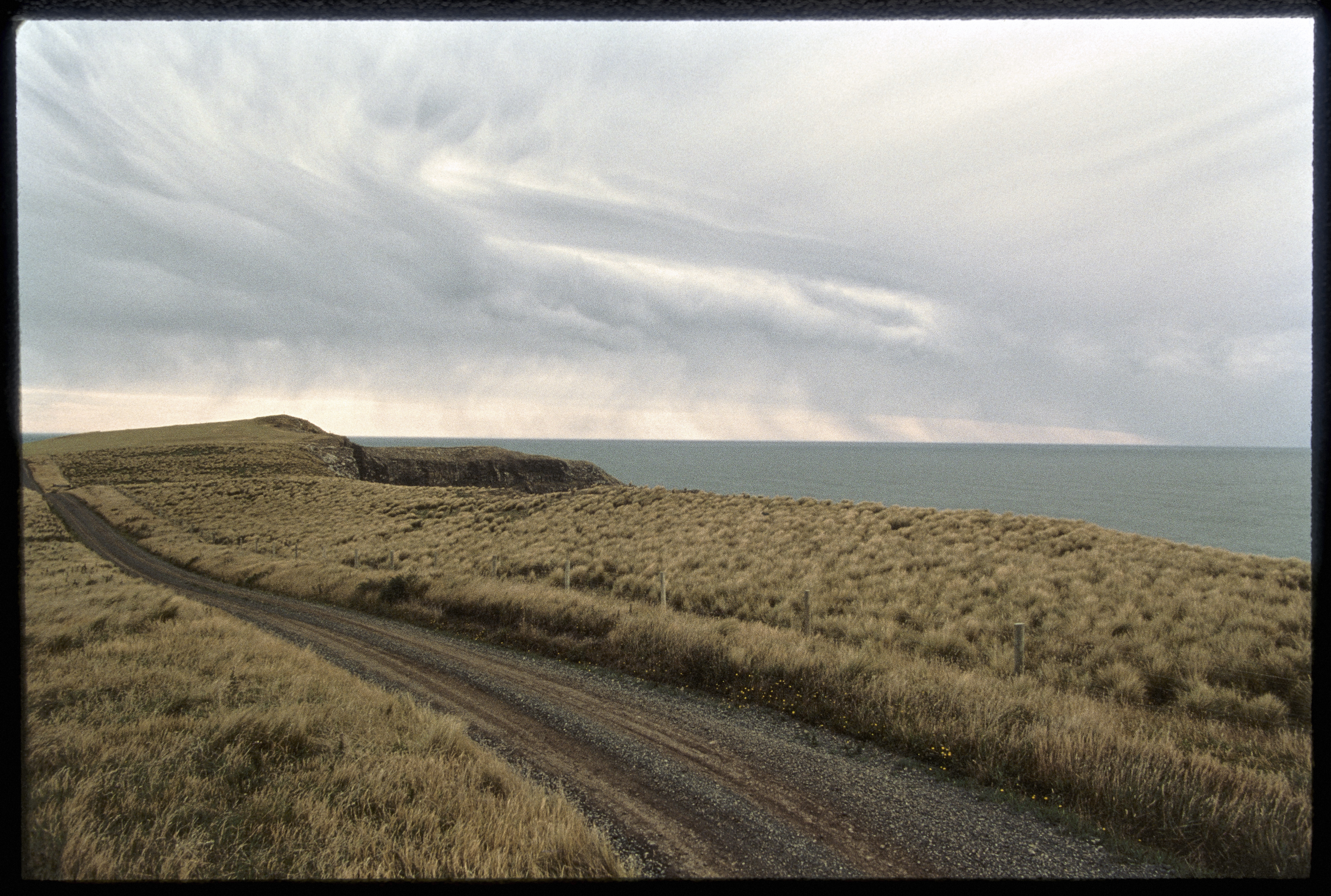 Cape Saunders, Otago Peninsula. Photo / Robin Morrison