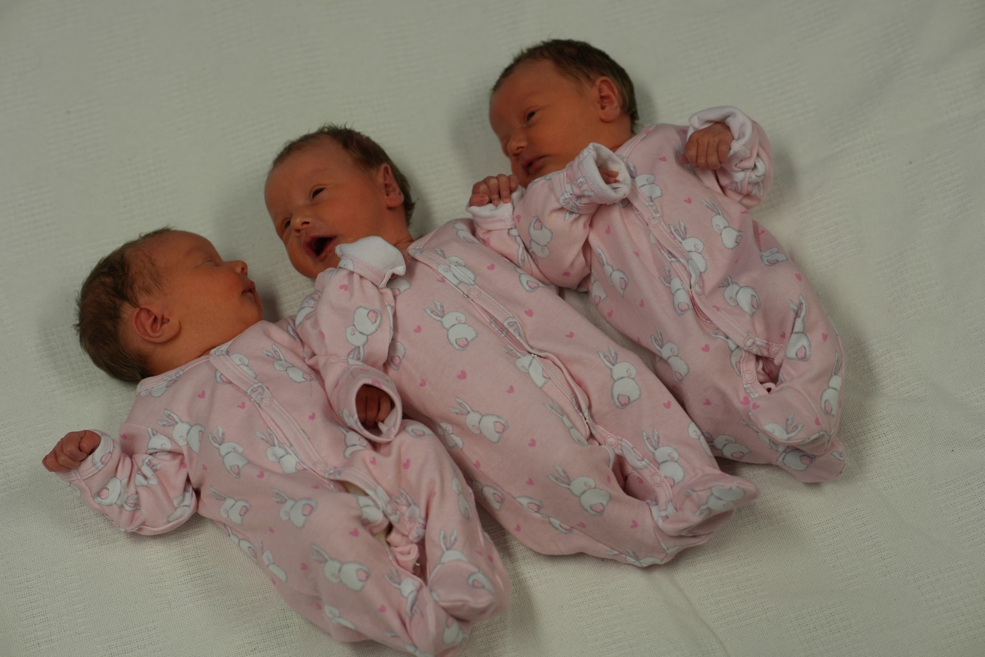 The Pyle identical triplet sisters, Sophia, Adeline and Gabriella