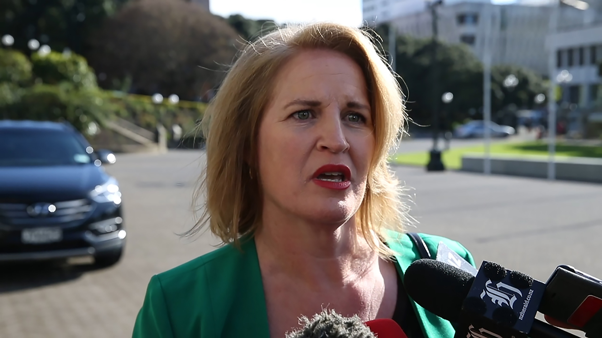 Social development spokeswoman and Taupo MP Louise Upston. Photo / Mark Mitchell