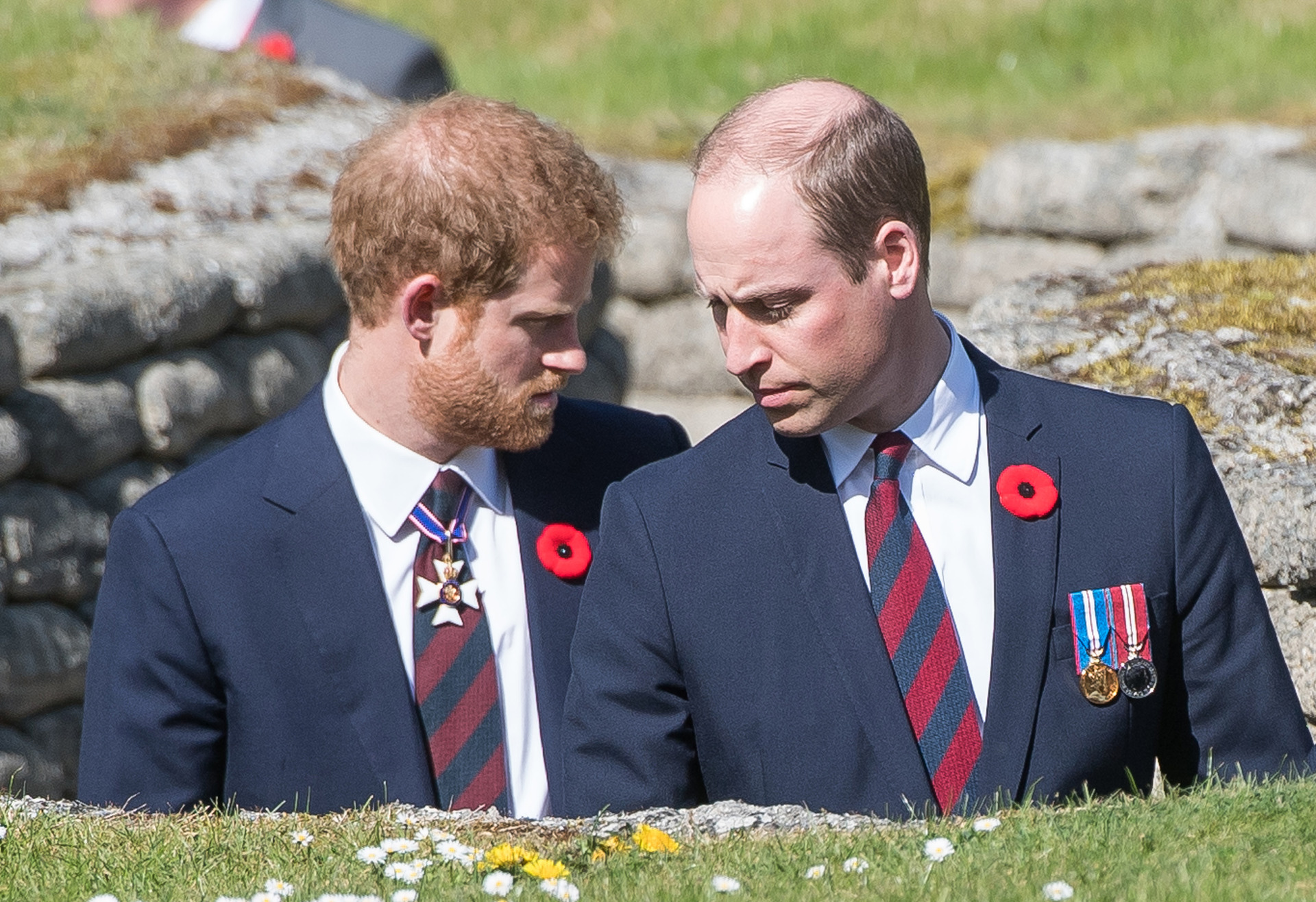 Harry's biographer has made startling claims about William's staff. Photo / Getty Images