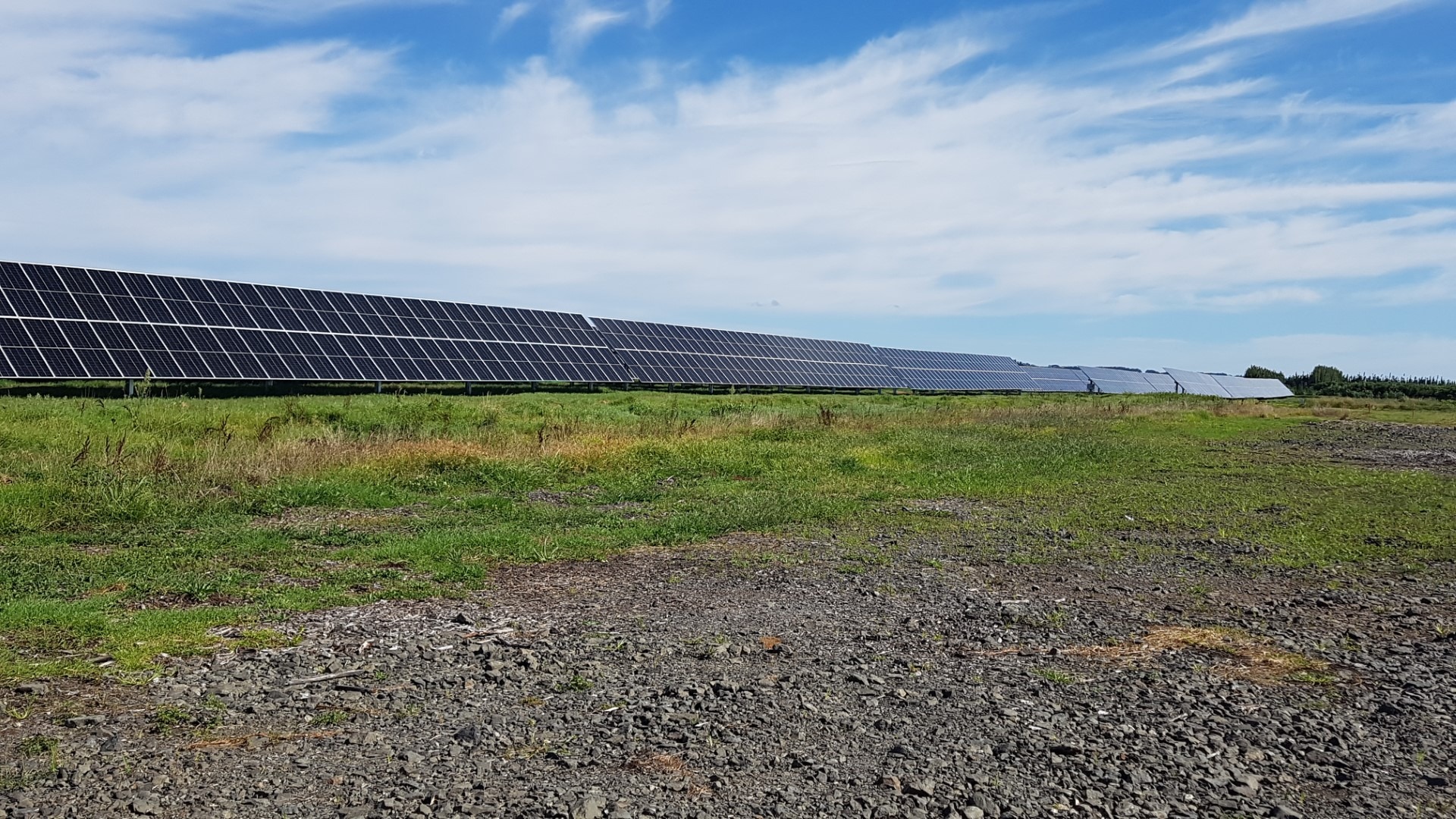 Some of the 61,000 solar panels at Kohirā. 