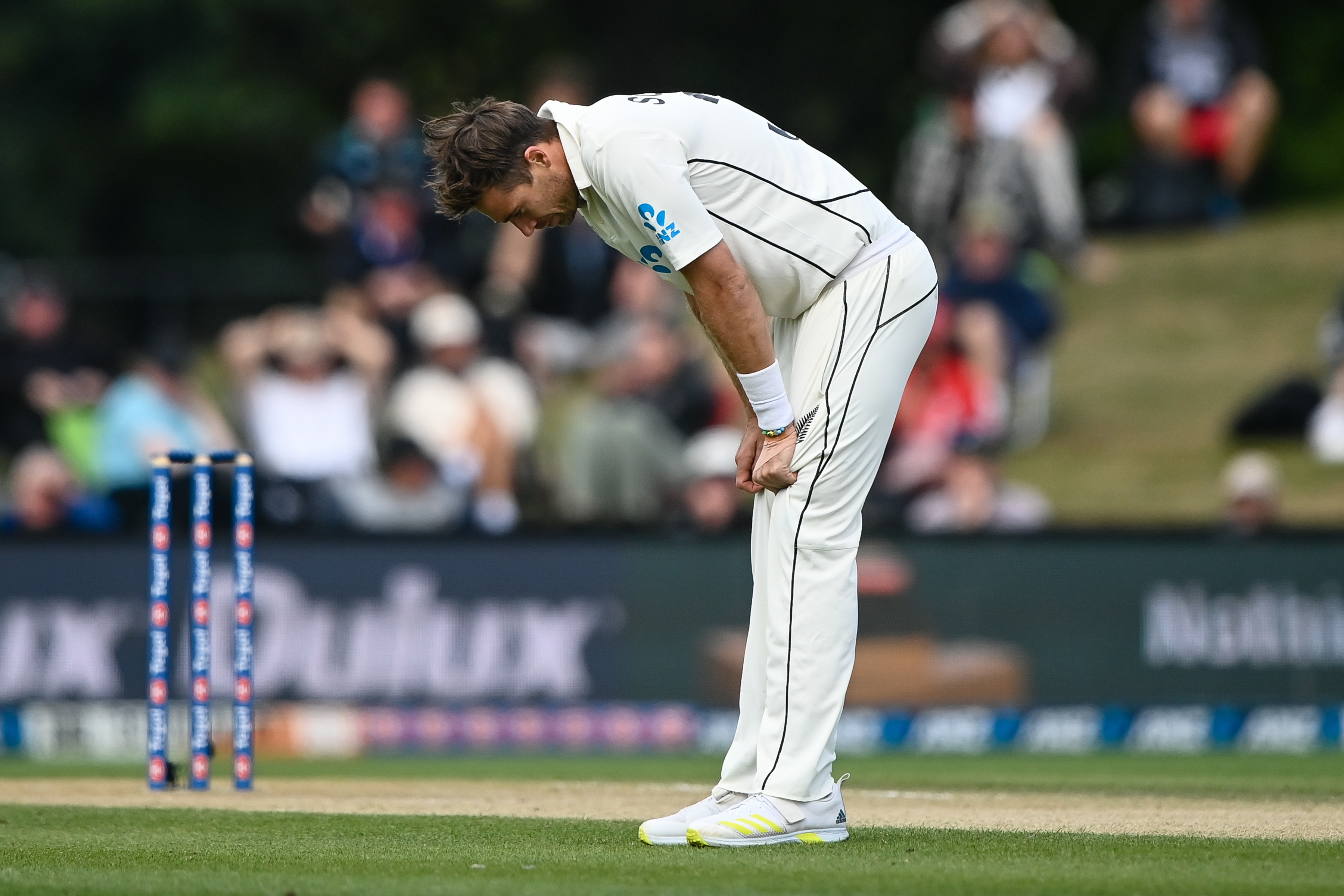 Skipper Tim Southee and the Black Caps came agonisingly close. Photo / Photosport