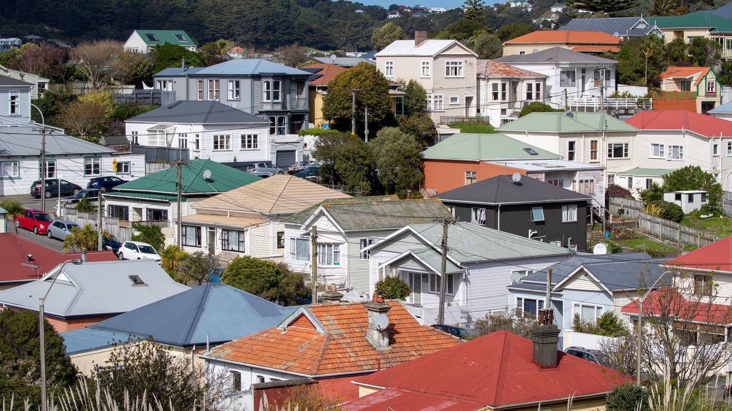 WCC's City Housing is in a precarious financial position. Photo / Mark Mitchell