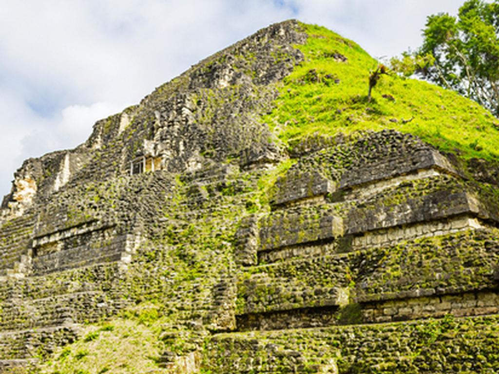Boy, 15, discovers long-lost ancient Mayan city using - Main Image