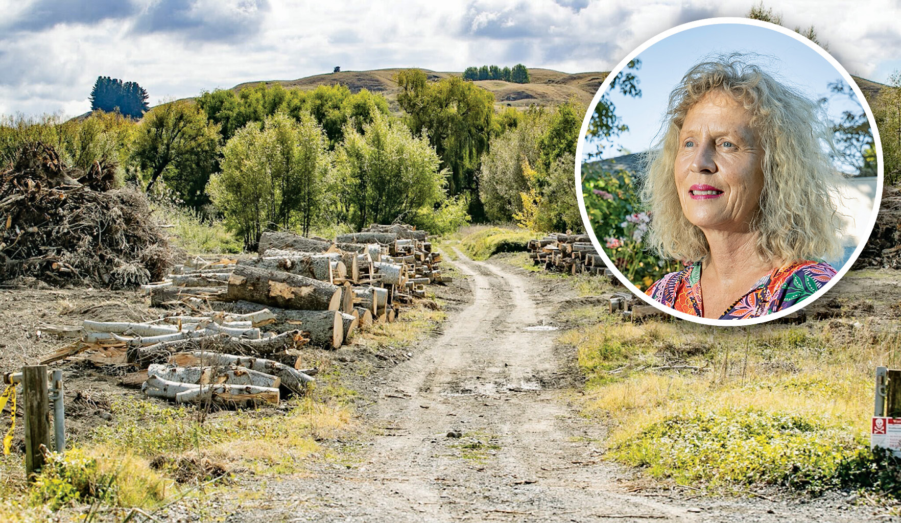 Catherine Reeves (inset) is concerned about the speed and scope of poplar tree felling at the Maraekākaho River entry and what it could mean for other wooded areas in Hawke's Bay. Photo / Warren Buckland
