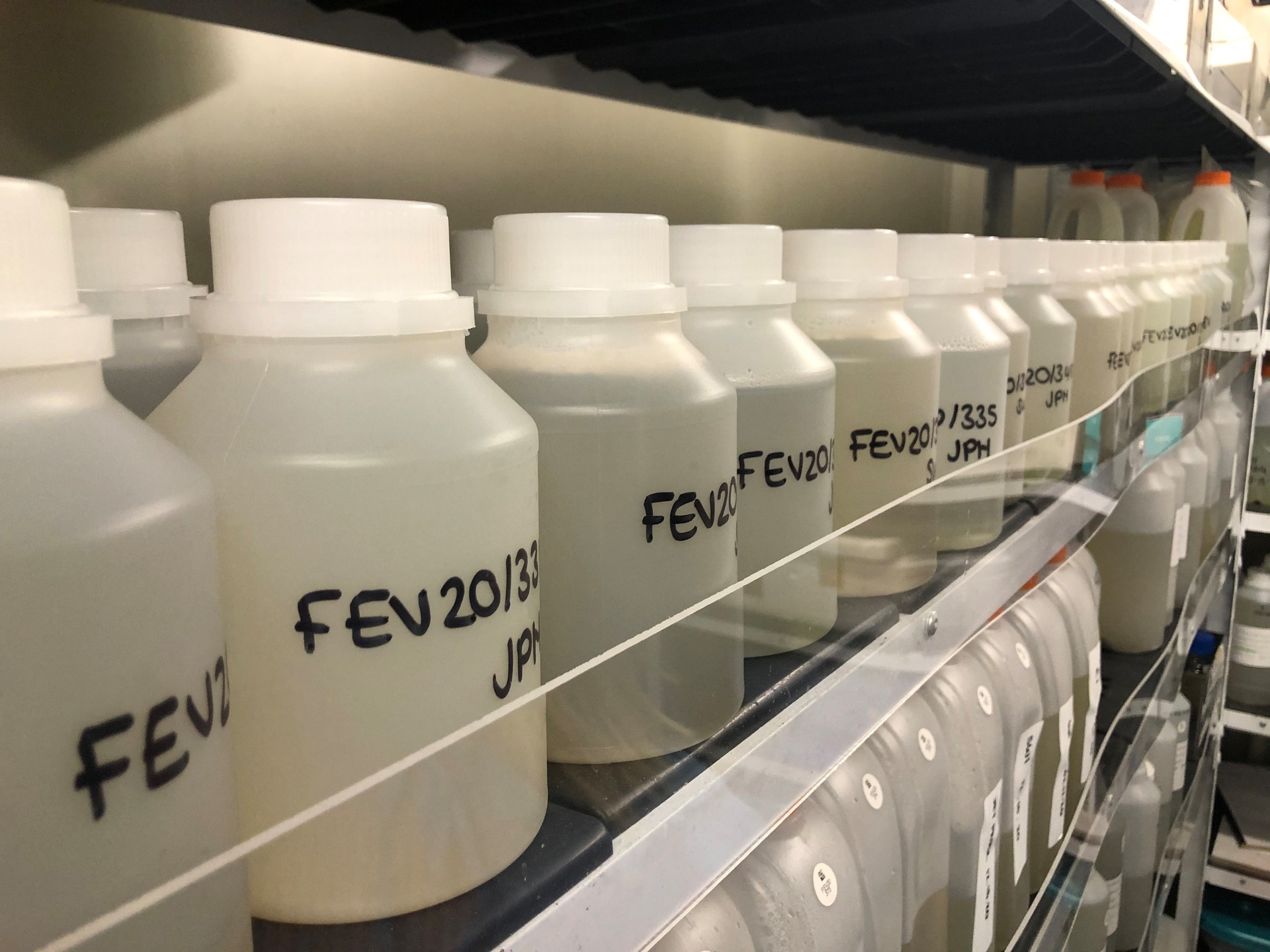 Some of the collected wastewater samples at ESR's Wellington laboratory. Photo / ESR