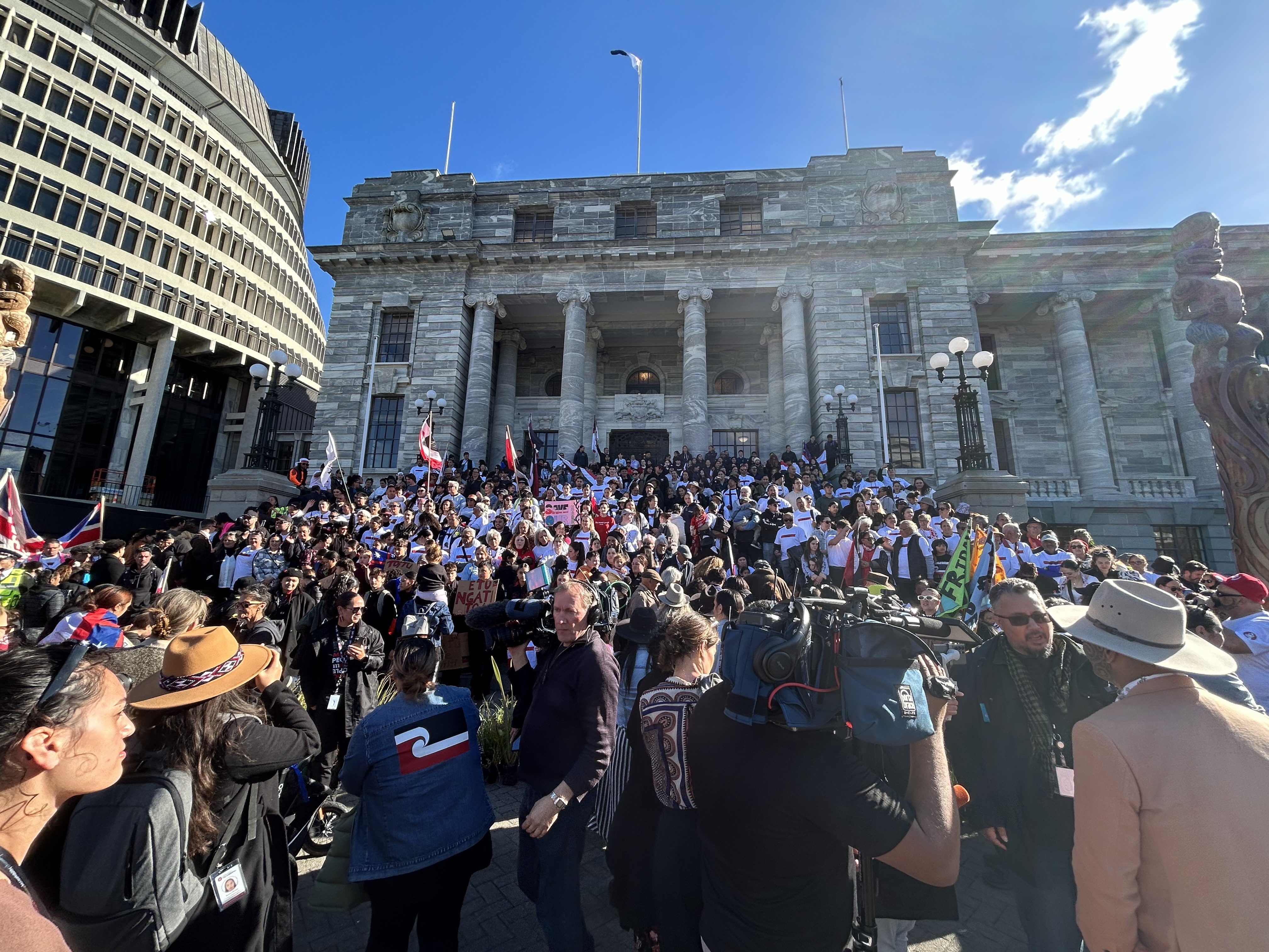 Ngāti Toa's protest of the fast-track consenting legislation on the steps of Parliament. Photo / Adam Pearse
