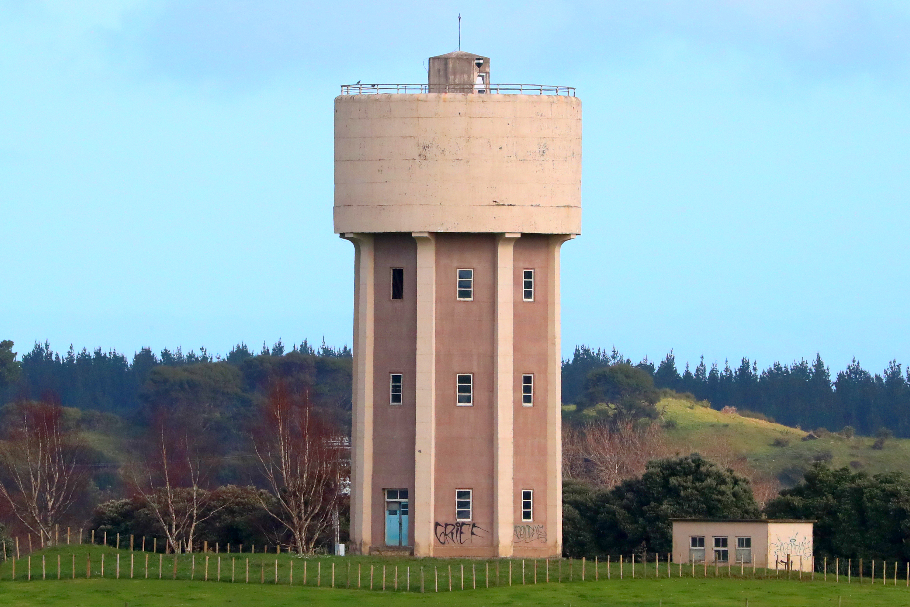 Over 300 children went through the child and adolescent unit at the Lake Alice psychiatric facility, with the Abuse in Care Royal Commission acknowledging they were subjected to torture. Photo / NZME