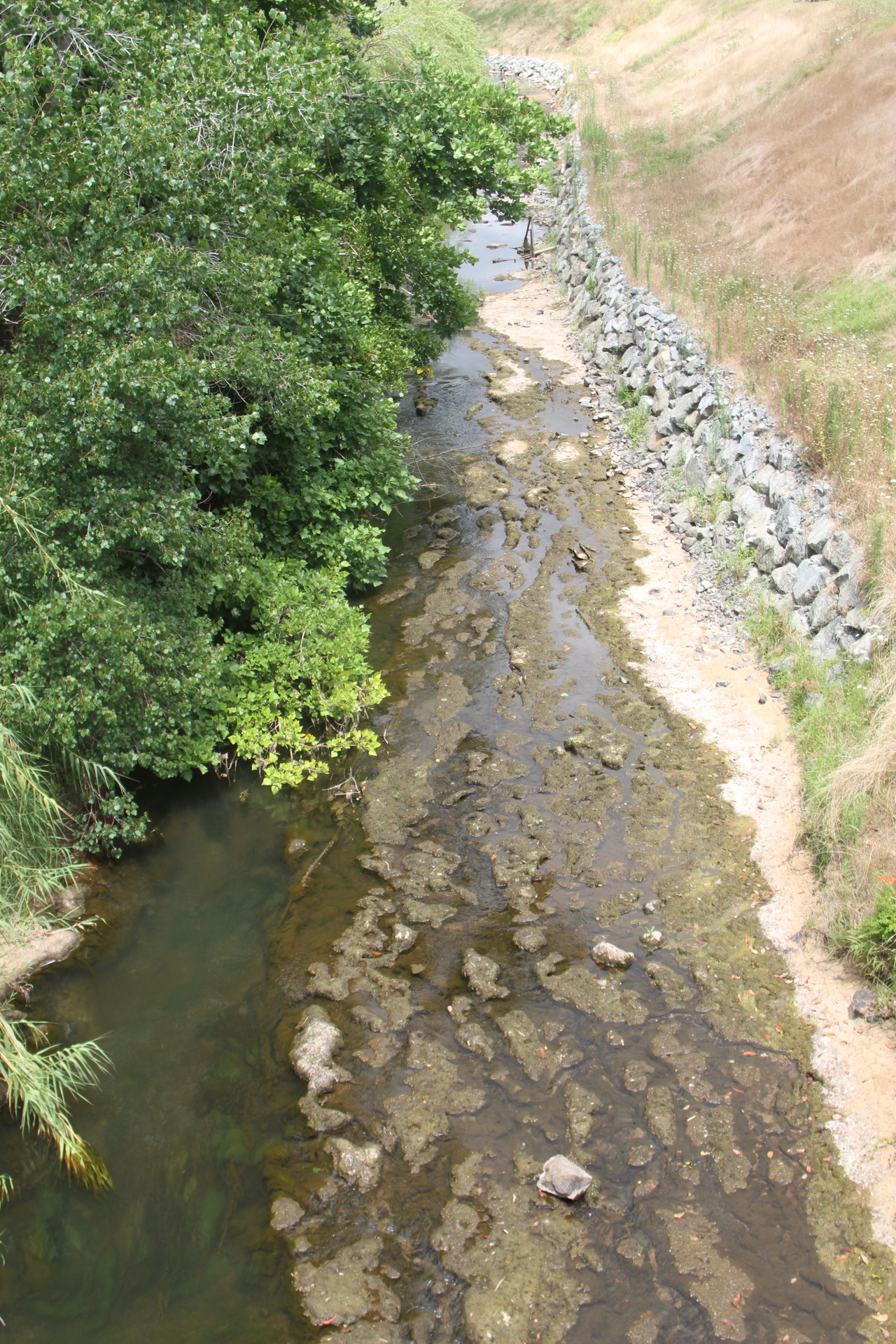 The Awanui River, which supplies Kaitaia's water, is running low, leading to strict water restrictions.