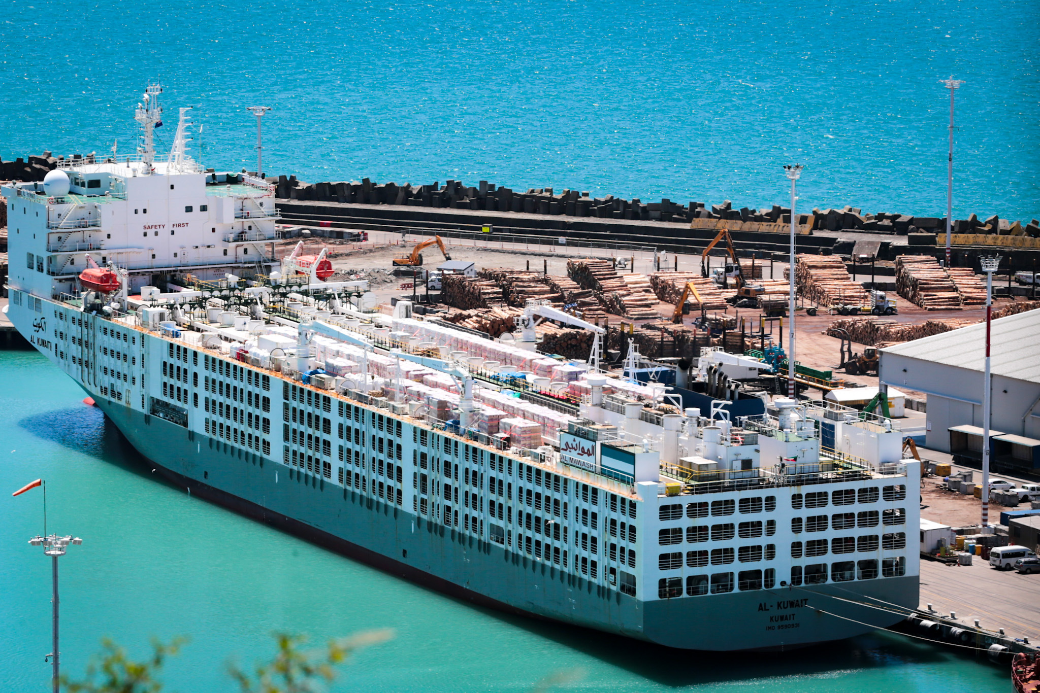 A livestock ship in Napier Port before the export ban. Photo / Isobella Comber