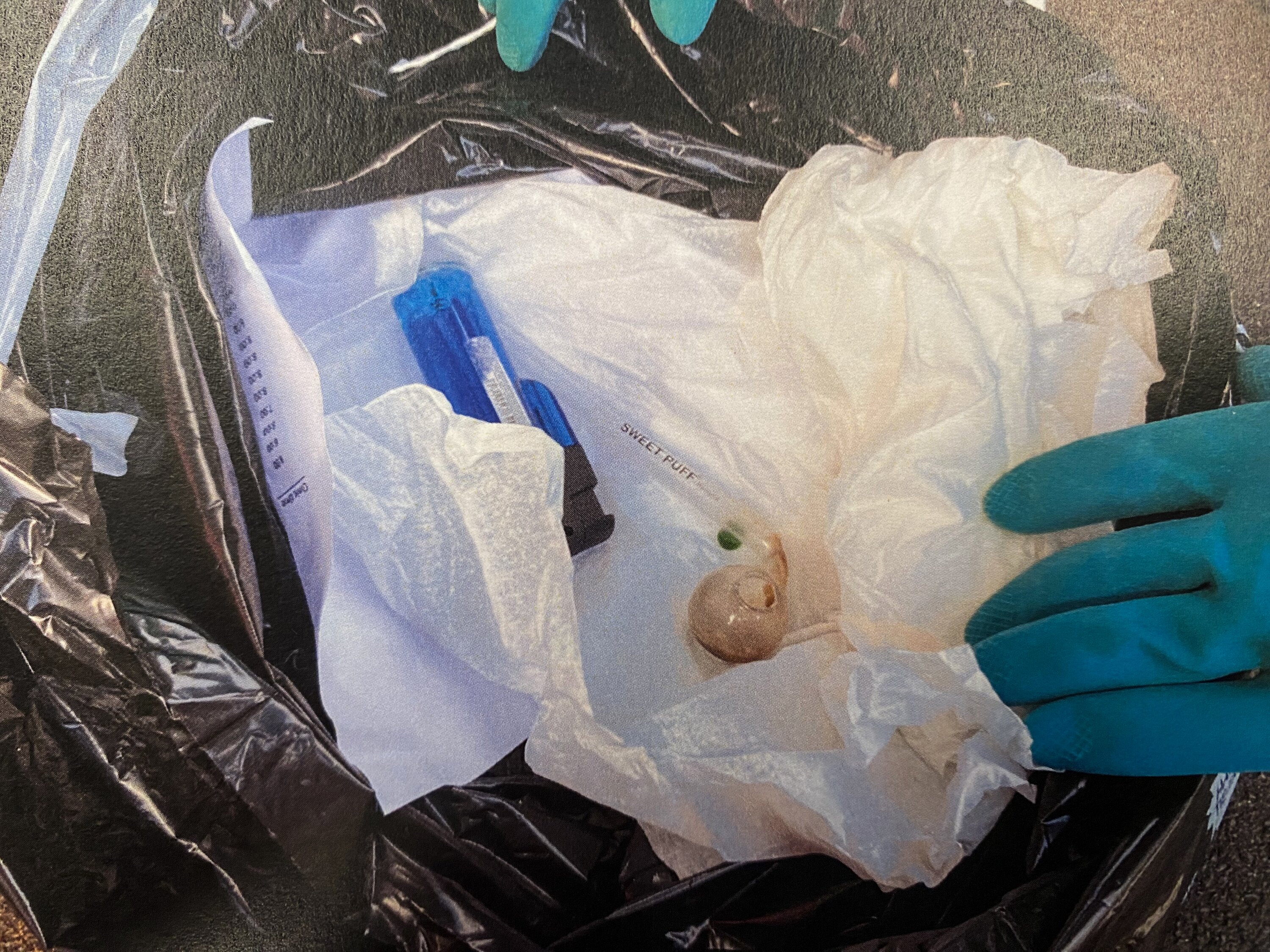 Philip Polkinghorne pleaded guilty to possessing 37.7g of methamphetamine. He was sentenced to 150 hours of community service. Photo / Supplied