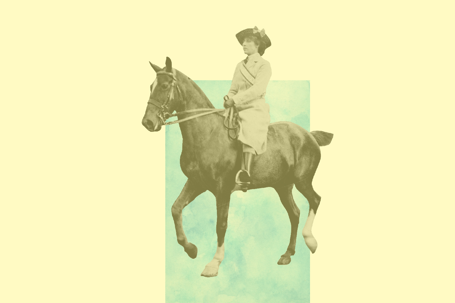 Idea one: Learn from the horse crisis. Photo / Supplied