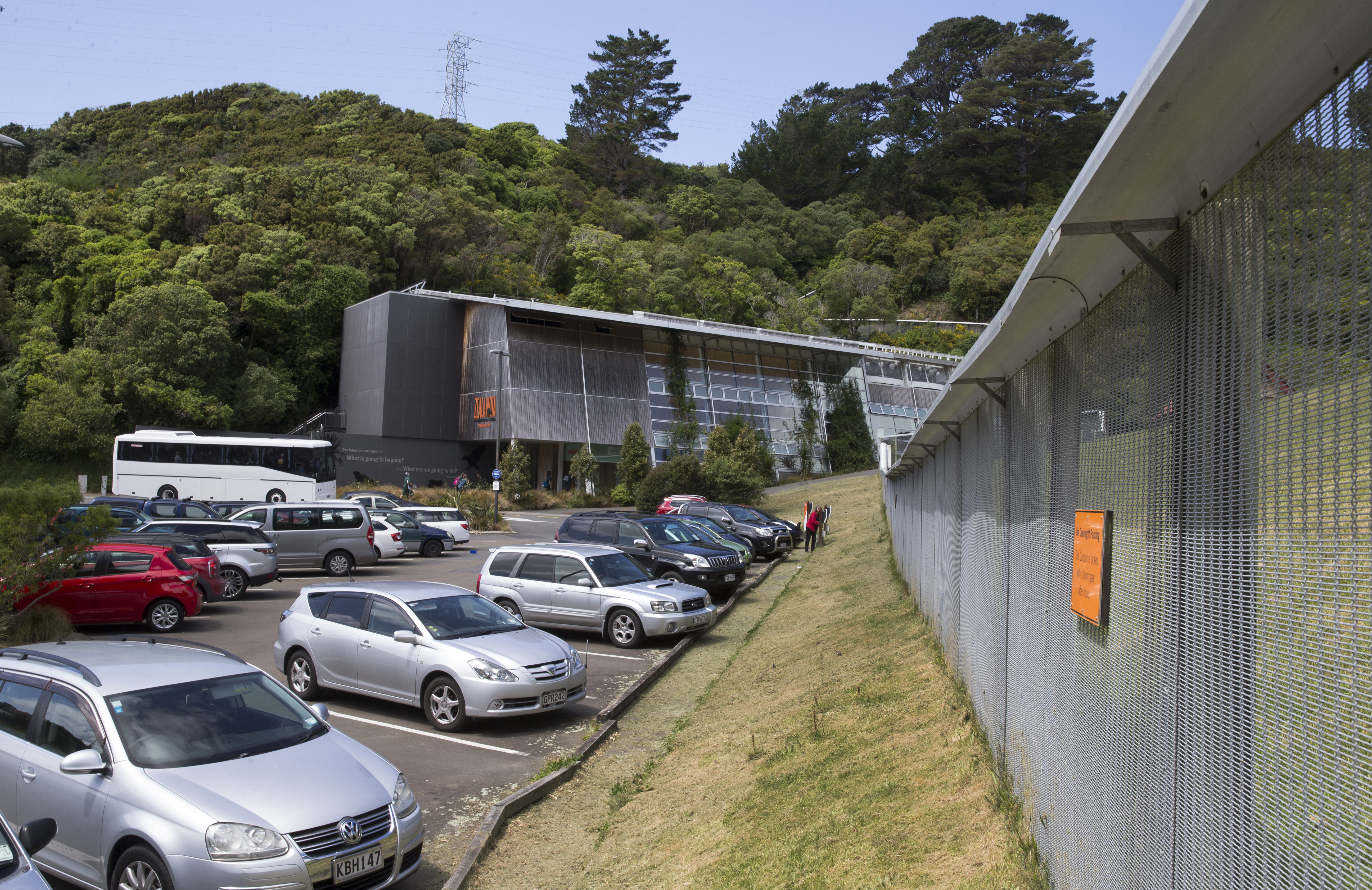 Zealandia conservation area. Photo/Mark Mitchell