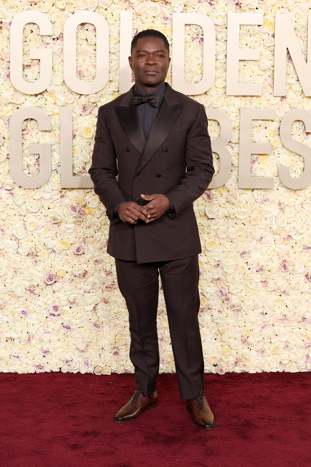 David Oyelowo arrives at the 81st Annual Golden Globe Awards in Beverly Hills. Photo / Getty Images