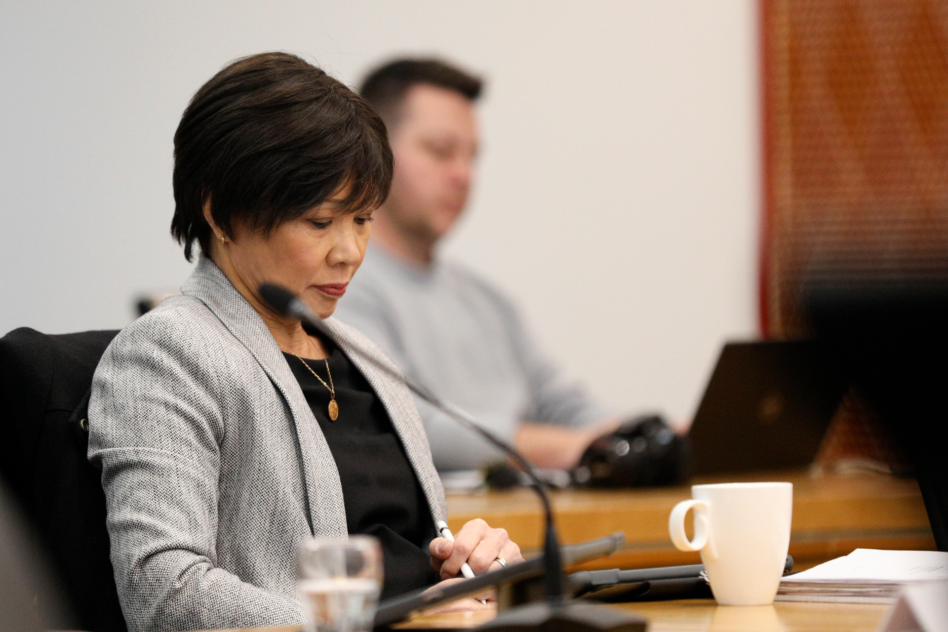 Councillor Sandra Kai Fong opposed the decision. Photo / Andrew Warner