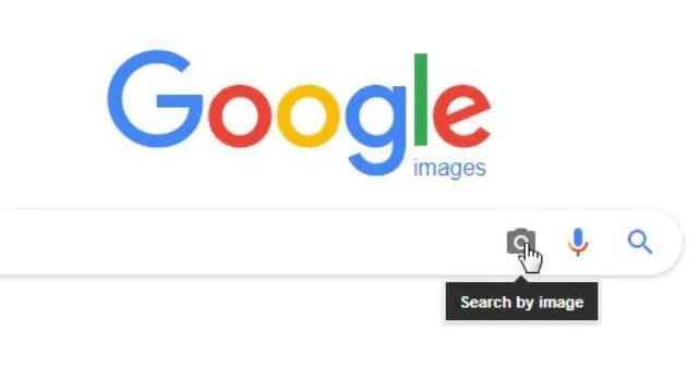 It's very simple to reverse search a picture on Google Images. Photo / Supplied

